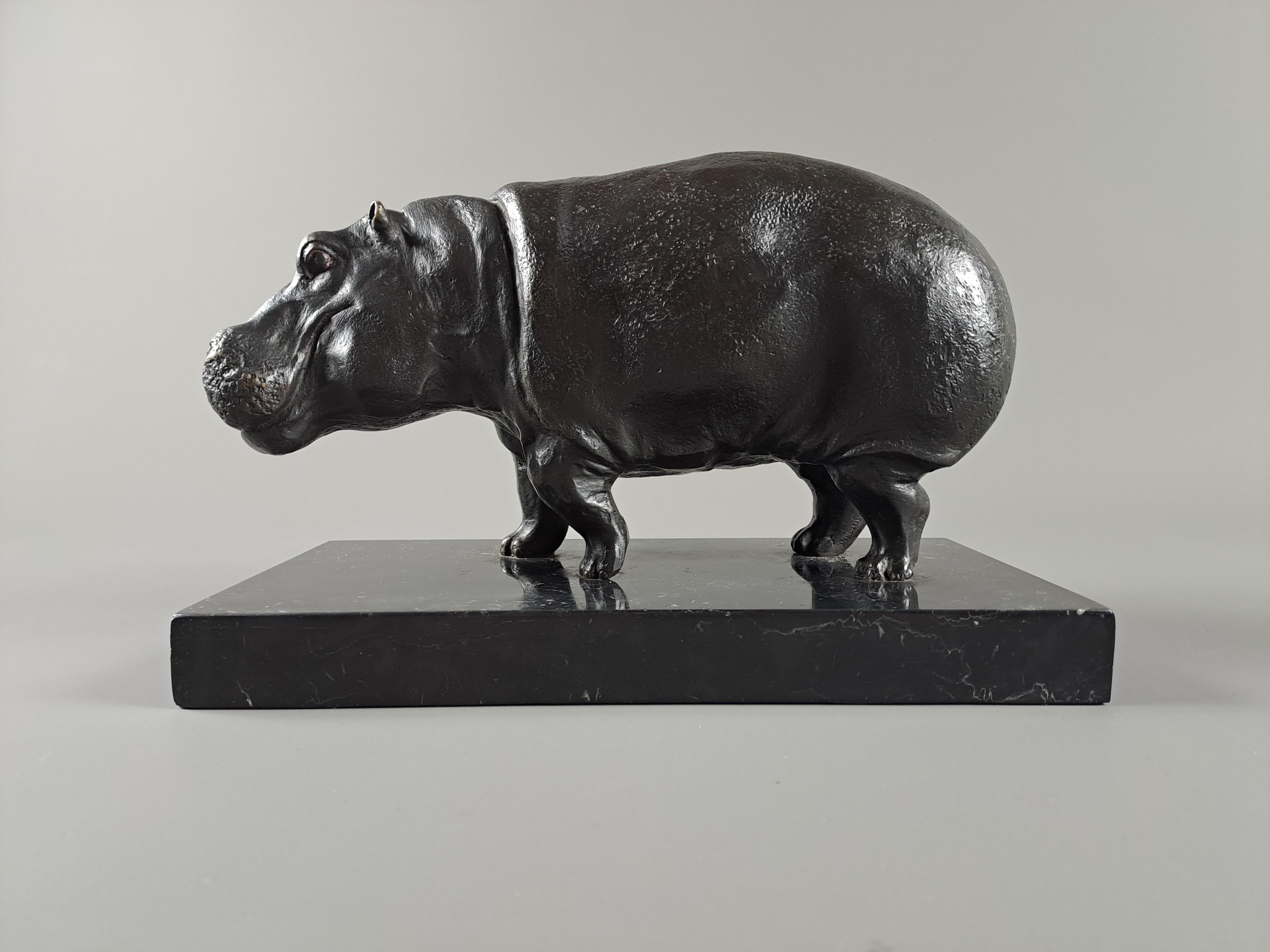 Hippopotamus, In Bronze Signed Dubanton 4