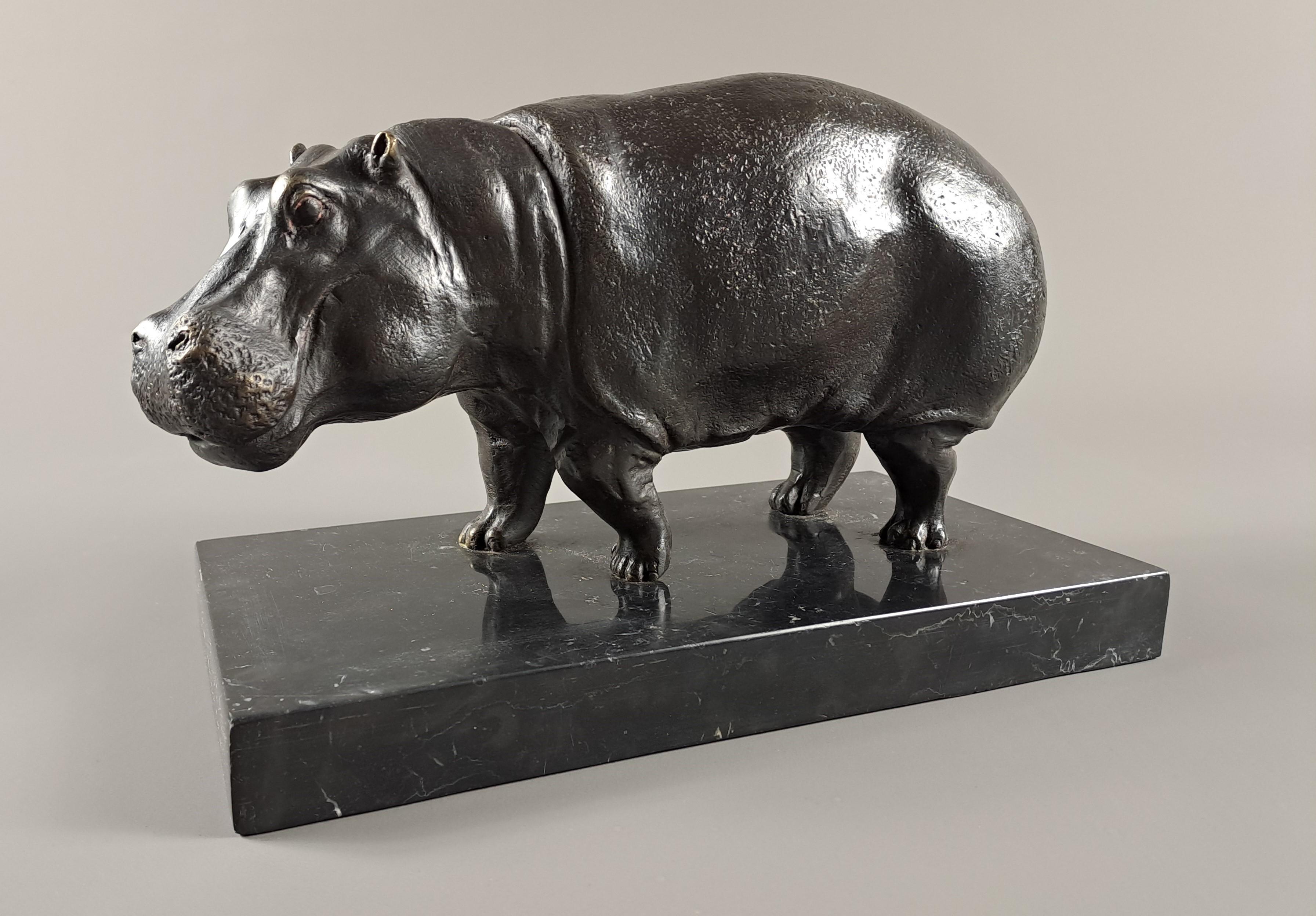 Bronze hippopotamus with brown patina on a black Belgian marble base.
Work from the first half of the 20th century (art deco period) signed on the right hind leg Dubanton.

Rare subject, beautiful proportions, careful finish.

