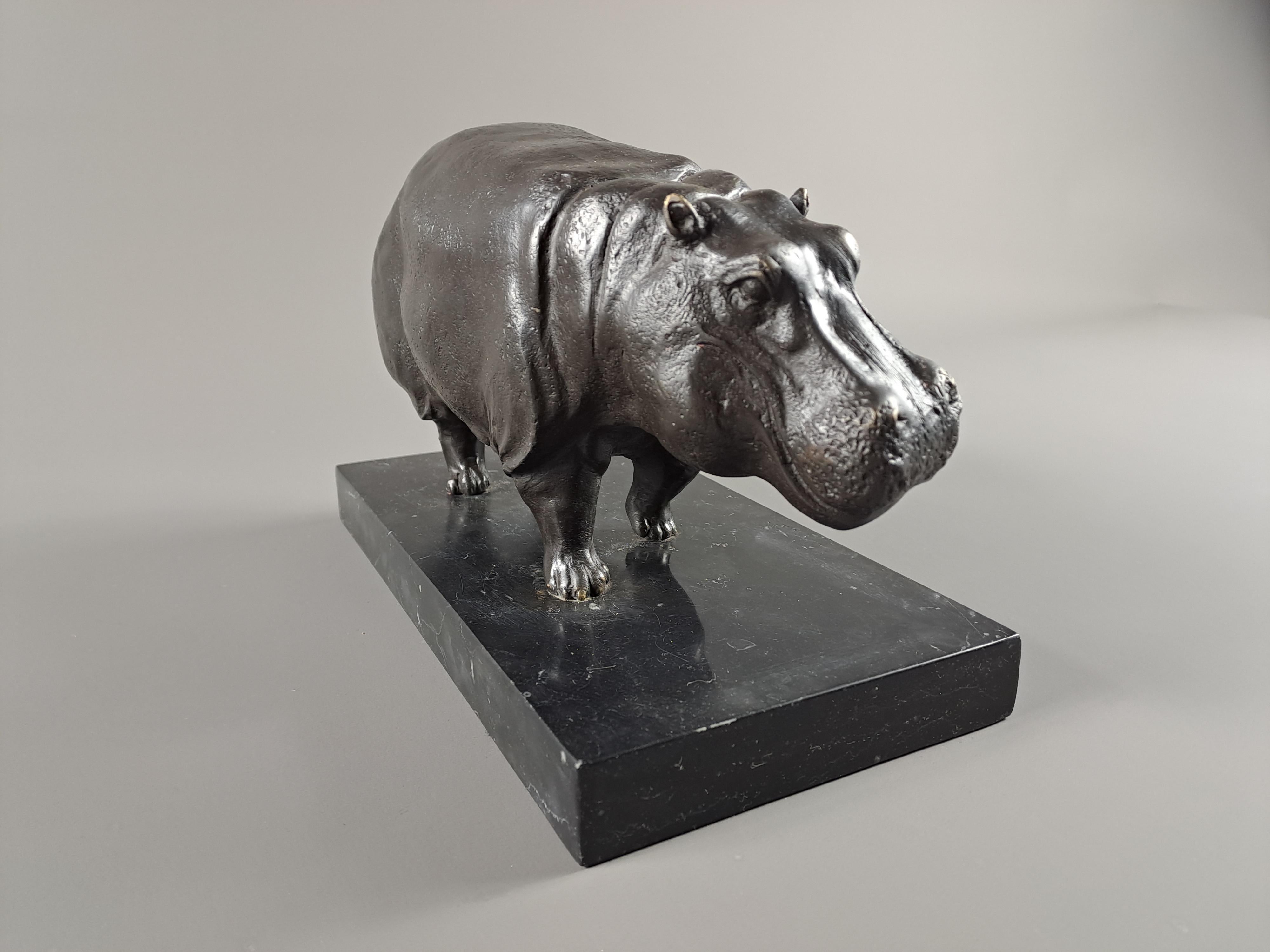 Hippopotamus, In Bronze Signed Dubanton 1