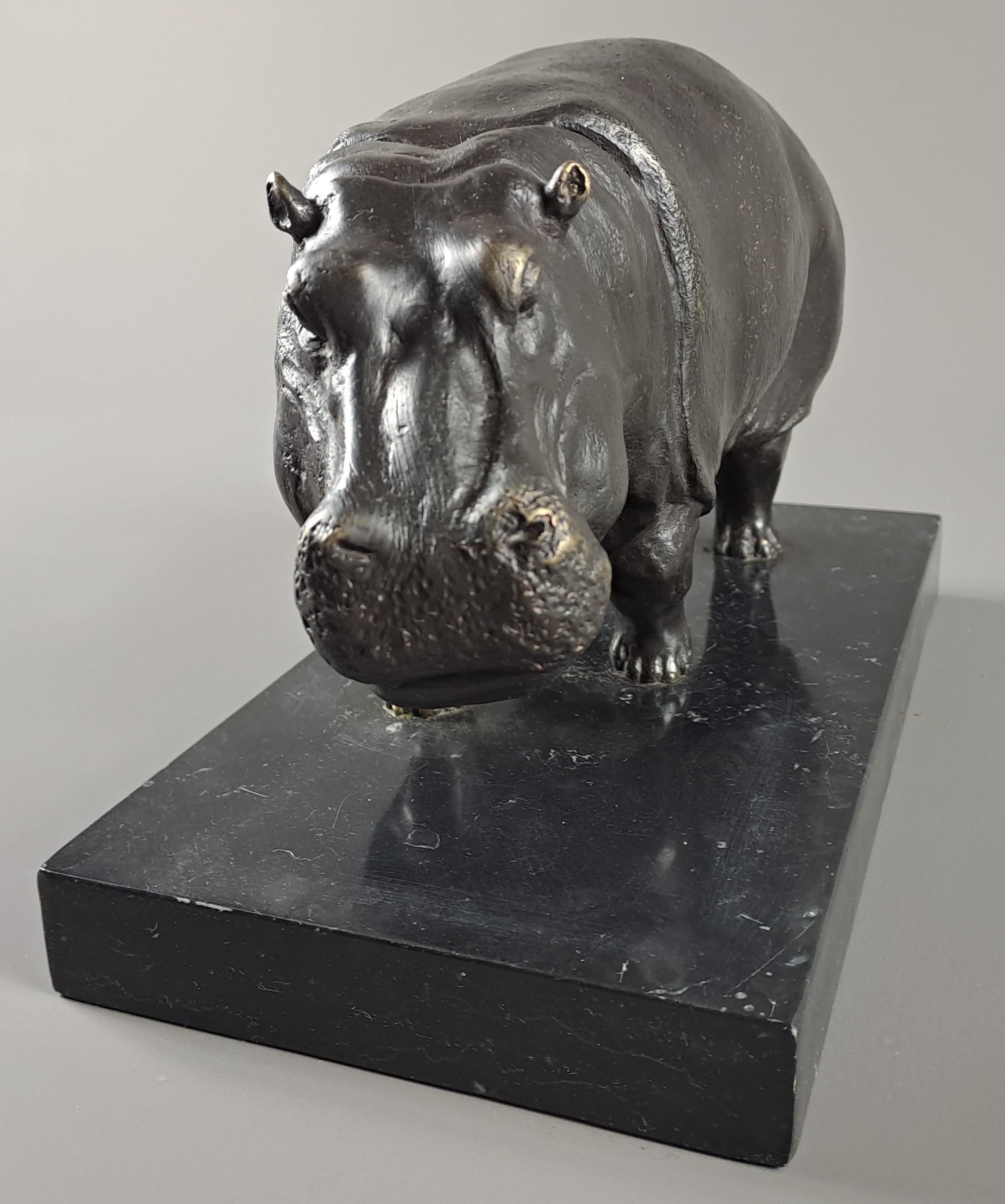 Hippopotamus, In Bronze Signed Dubanton 2