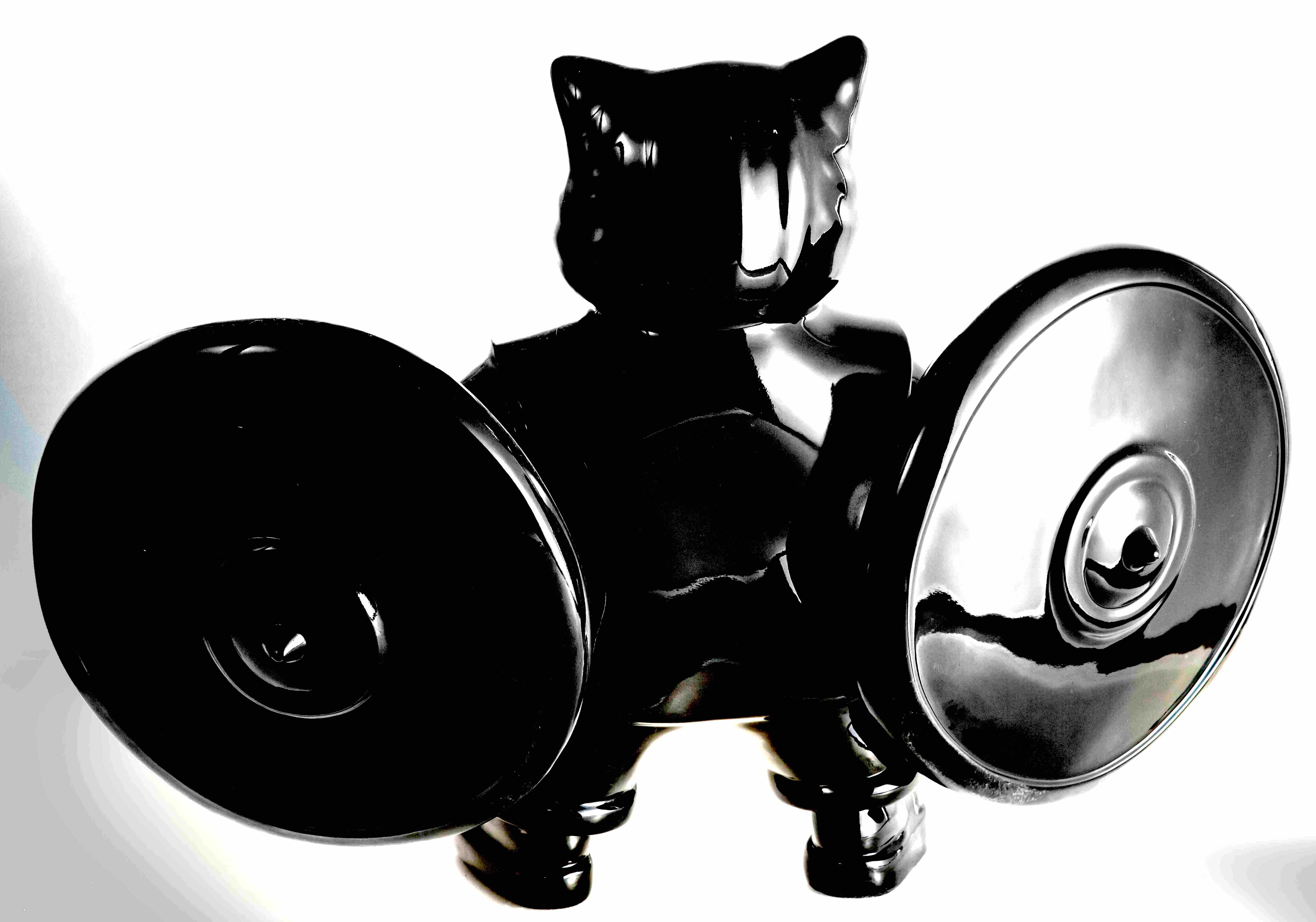 Commanding Warriorcat : Black Eternal Vigil For Sale 3