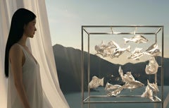 La danse de Magoi et Higoi : La Serenade du Nishikigoi dans le Haven céleste