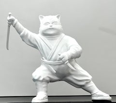 El Enigmático Viaje de Ninjacat : Bigotes Sigilosos Blancos