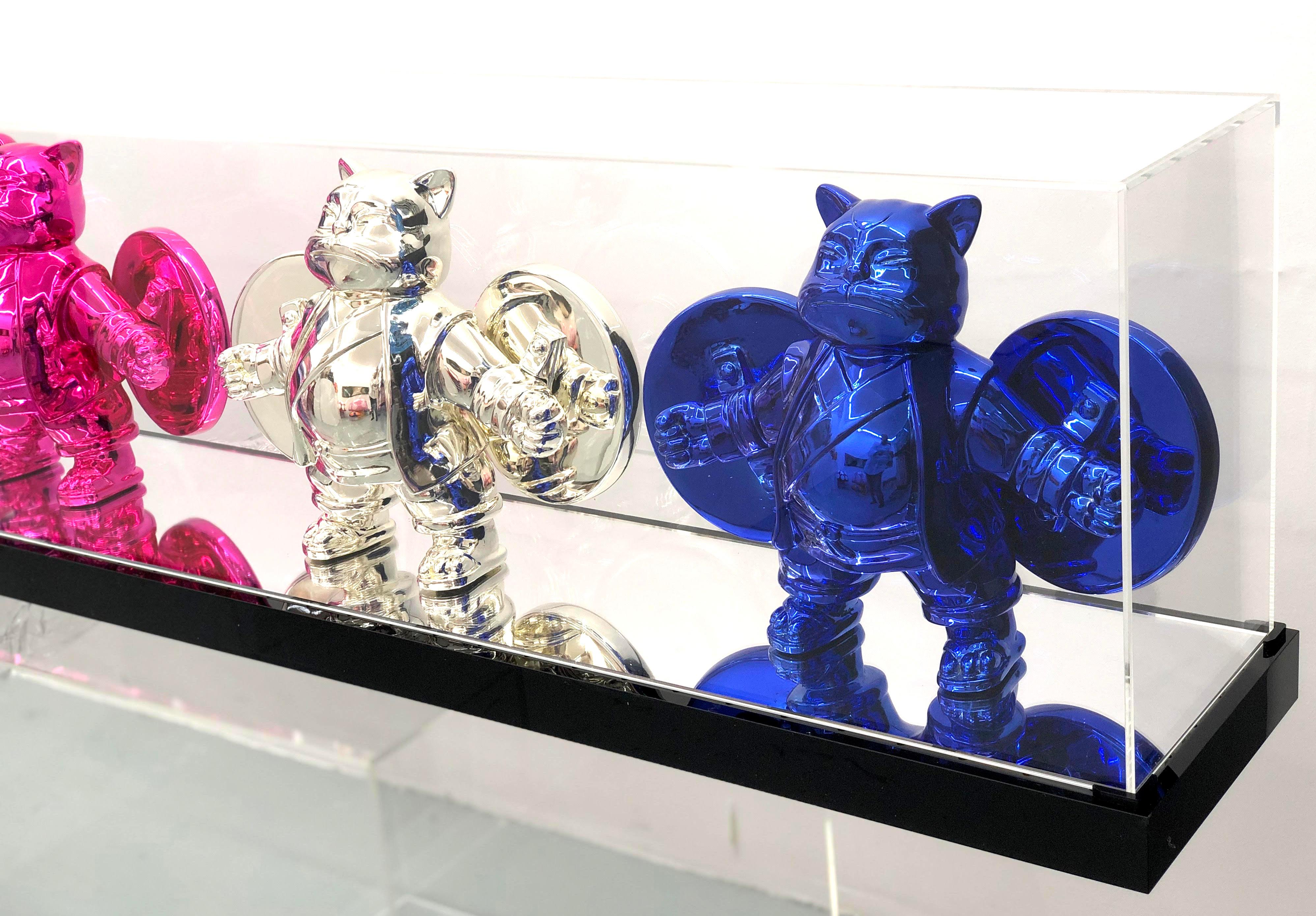 Warriorcat Quadrivium PPSB : A Chromium Tale For Sale 13