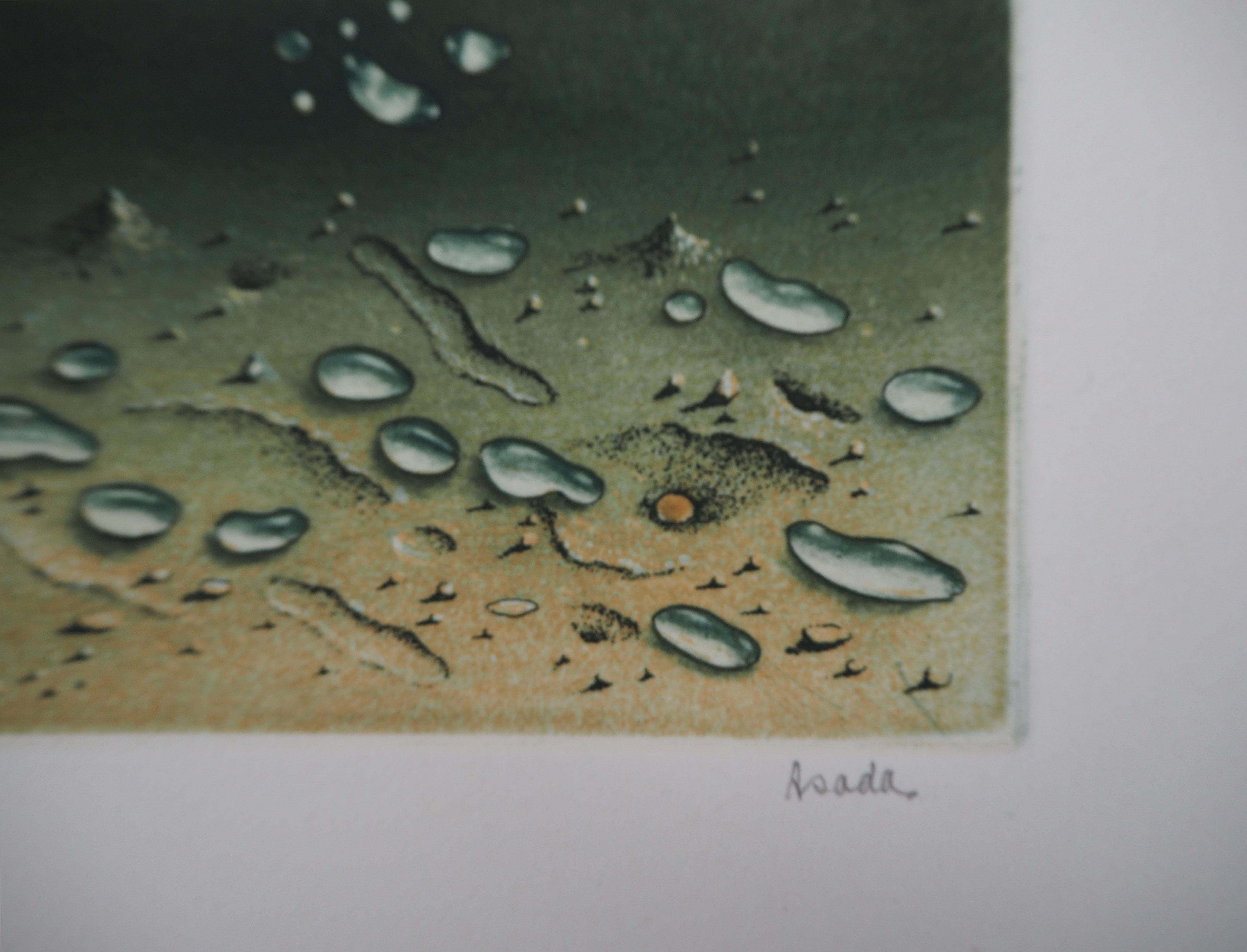 Zen: Wassertropfen auf dem Sand - Original handsignierte Radierung - Nummeriert / 200 – Print von Hiroshi Asada