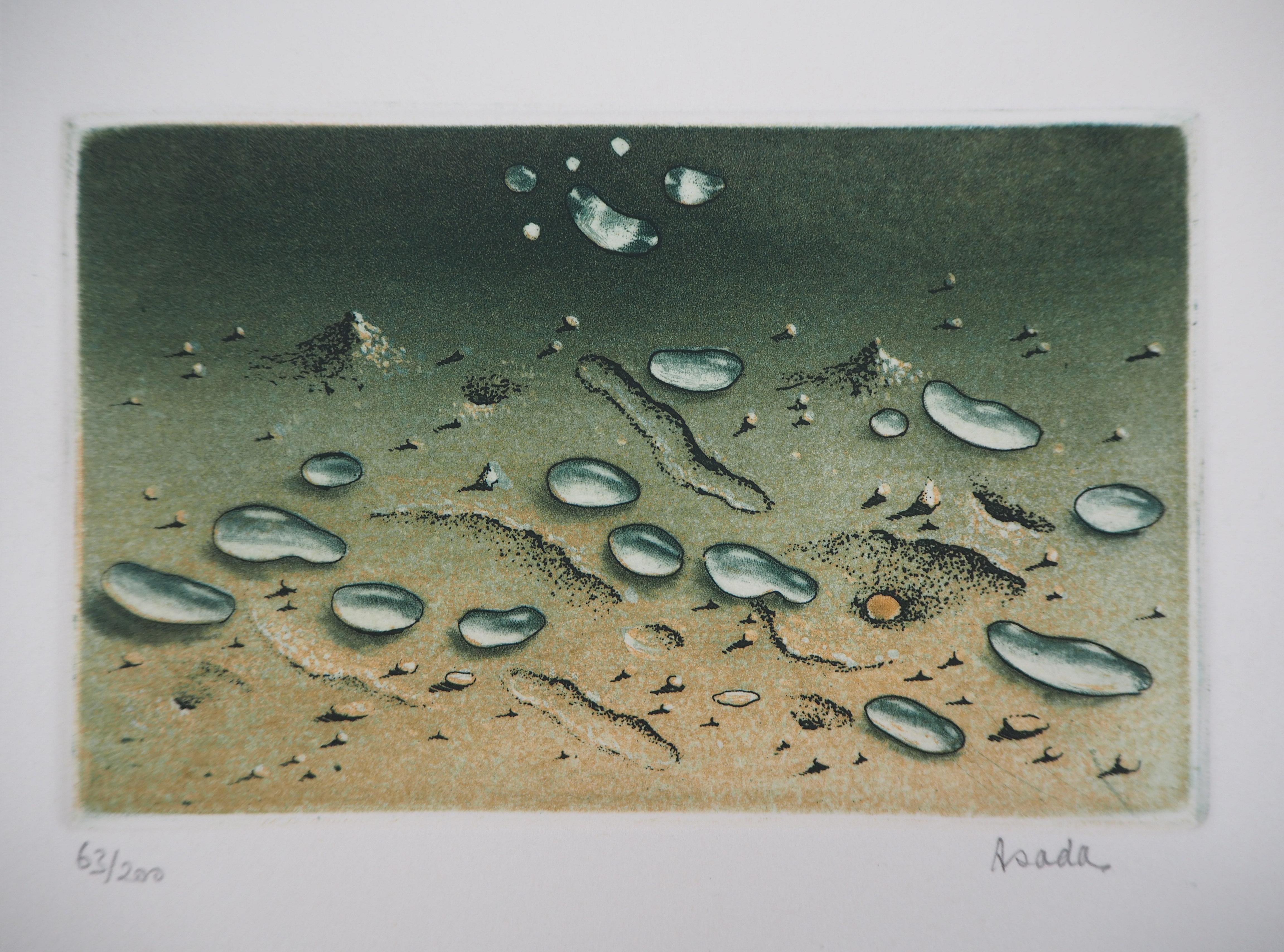 Zen: Wassertropfen auf dem Sand - Original handsignierte Radierung - Nummeriert / 200 (Grau), Figurative Print, von Hiroshi Asada