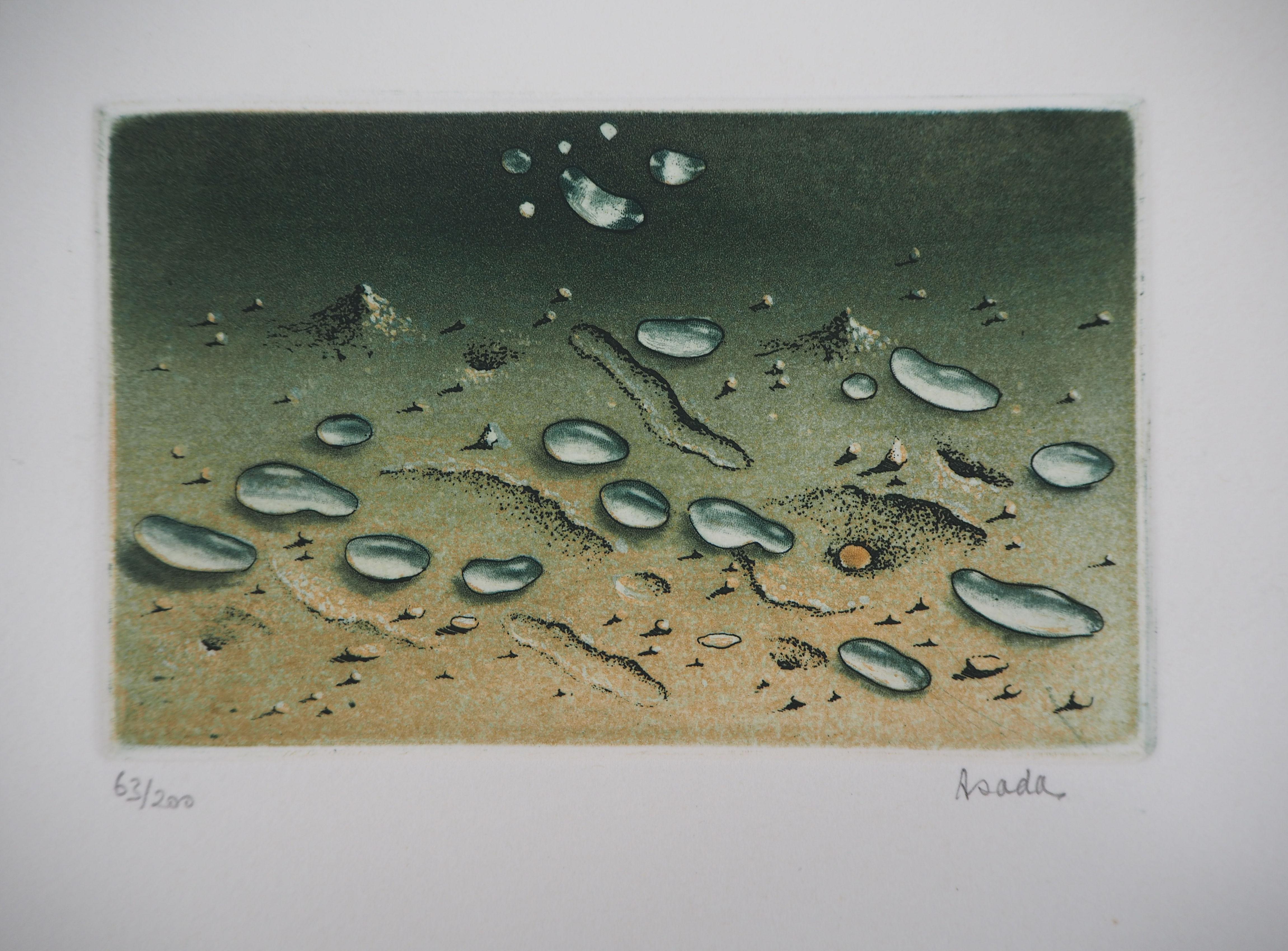 Zen : Water Drops on the Sand - Original handsigned etching - Numbered / 200 - Gray Figurative Print by Hiroshi Asada