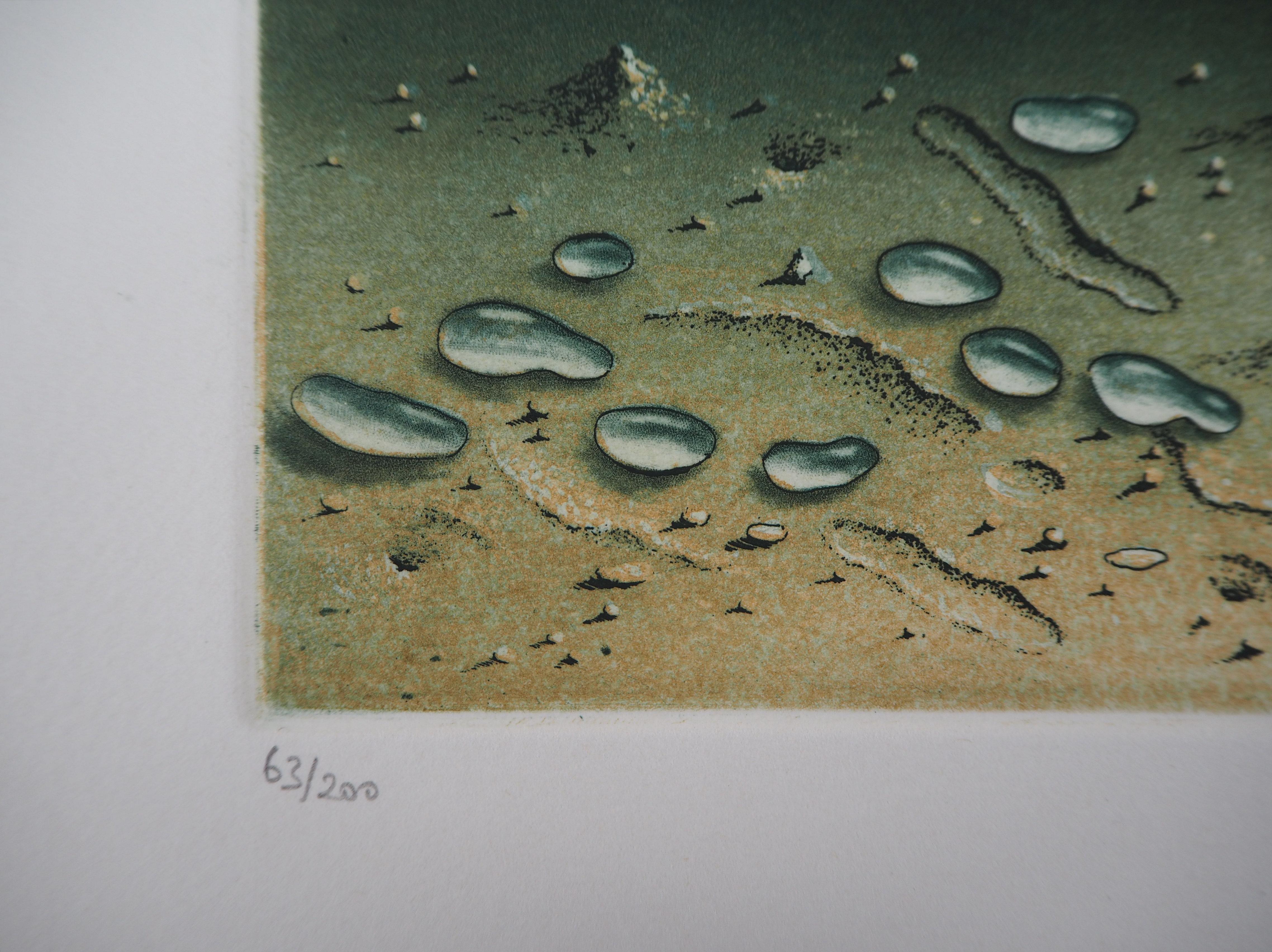 Zen : Water Drops on the Sand - Original handsigned etching - Numbered / 200 - Surrealist Print by Hiroshi Asada