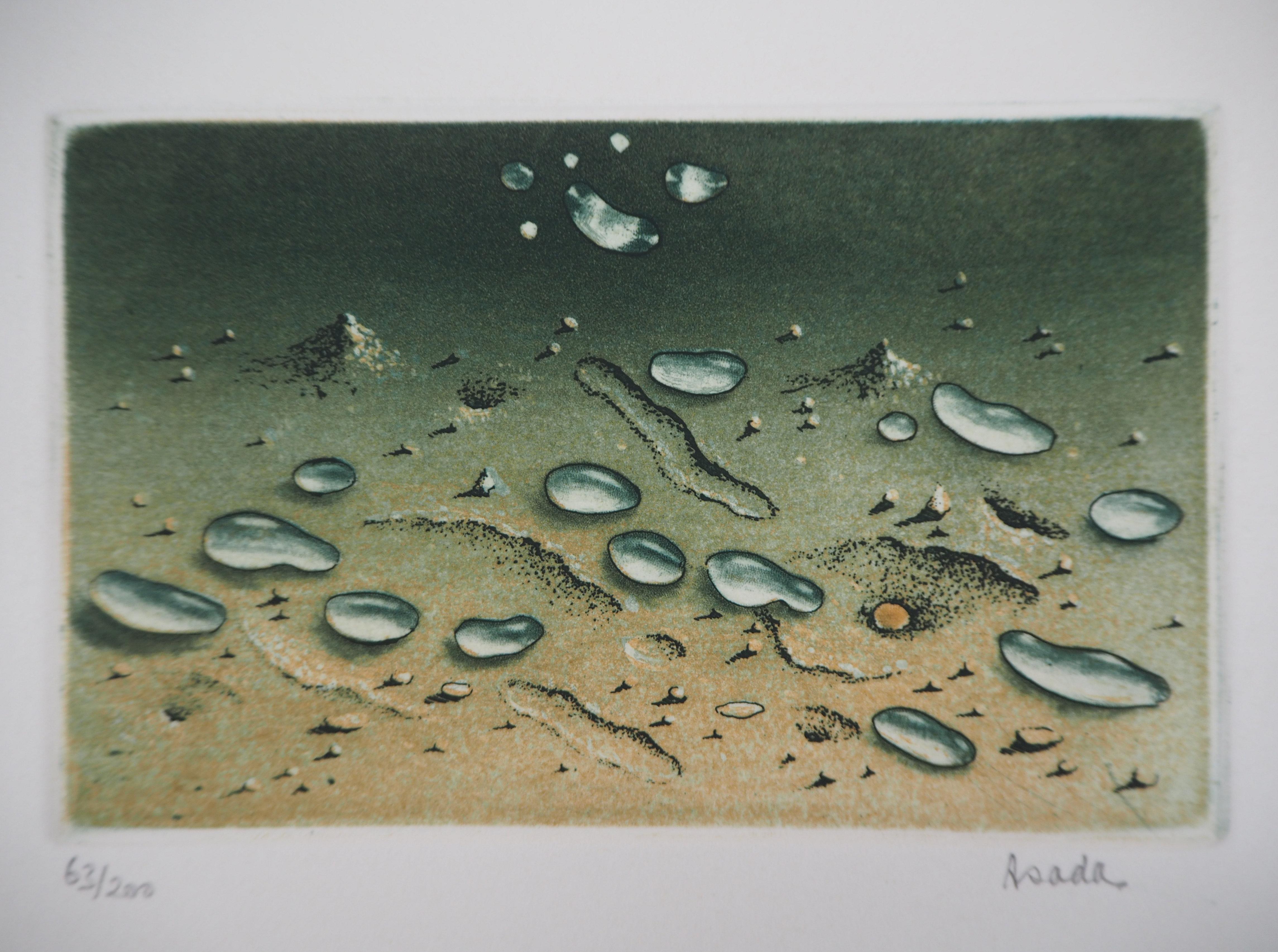 Hiroshi Asada Figurative Print – Zen: Wassertropfen auf dem Sand - Original handsignierte Radierung - Nummeriert / 200
