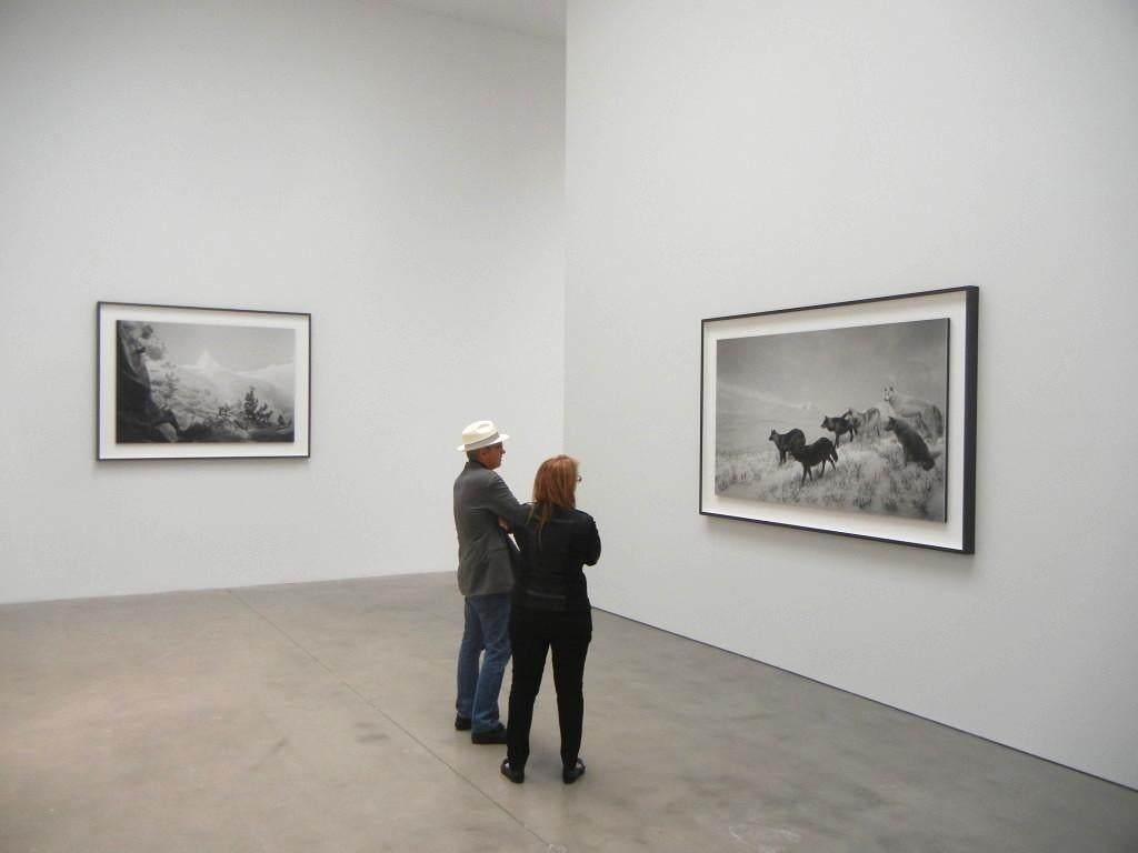 Alaskan Wolves – Hiroshi Sugimoto, Japan, Animal, Landscape, black and white 1