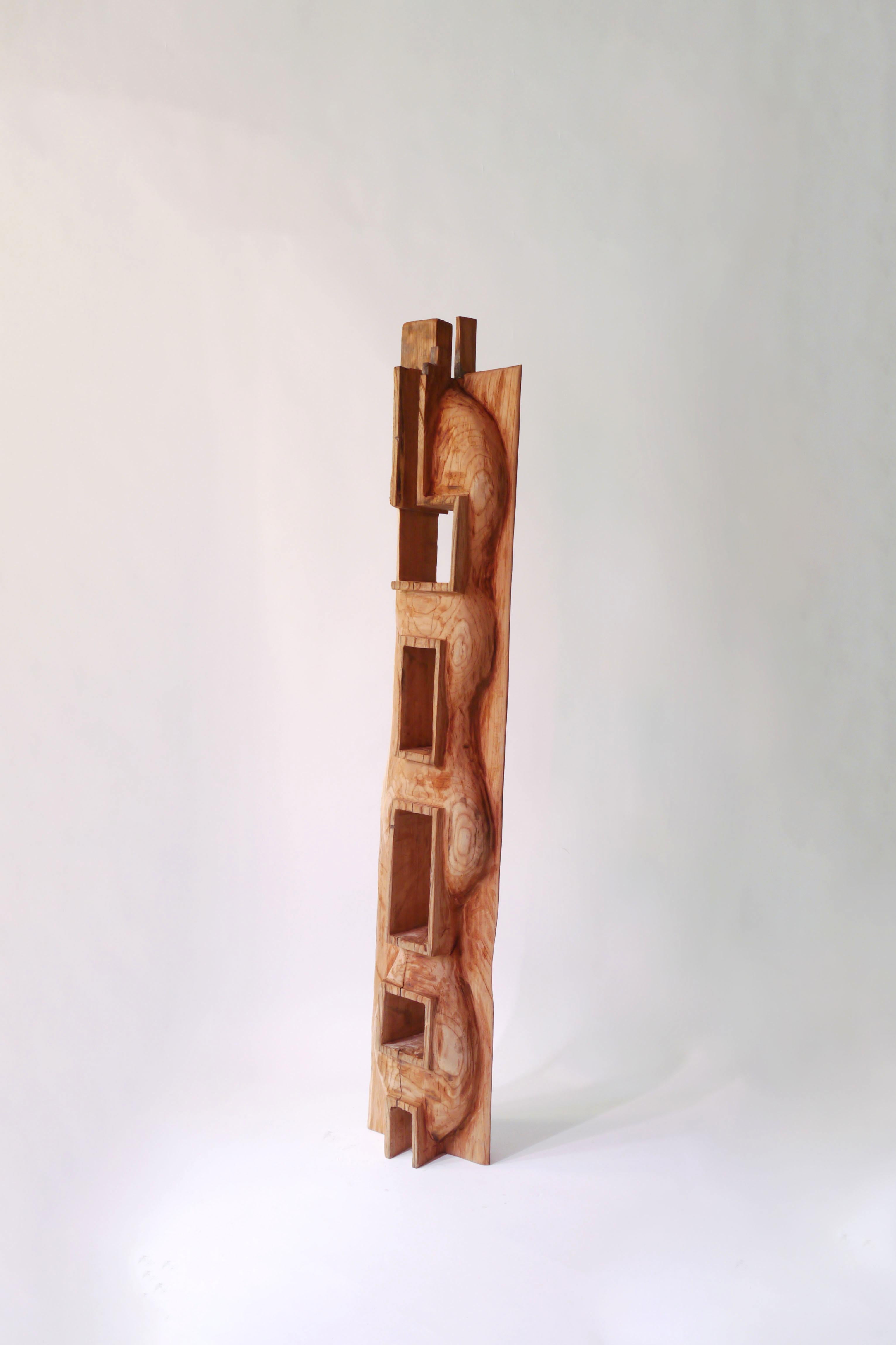 Japanese Hiroyuki Nishimura Abstract Sculpture Broad Bean Tribal Style Bookcase For Sale