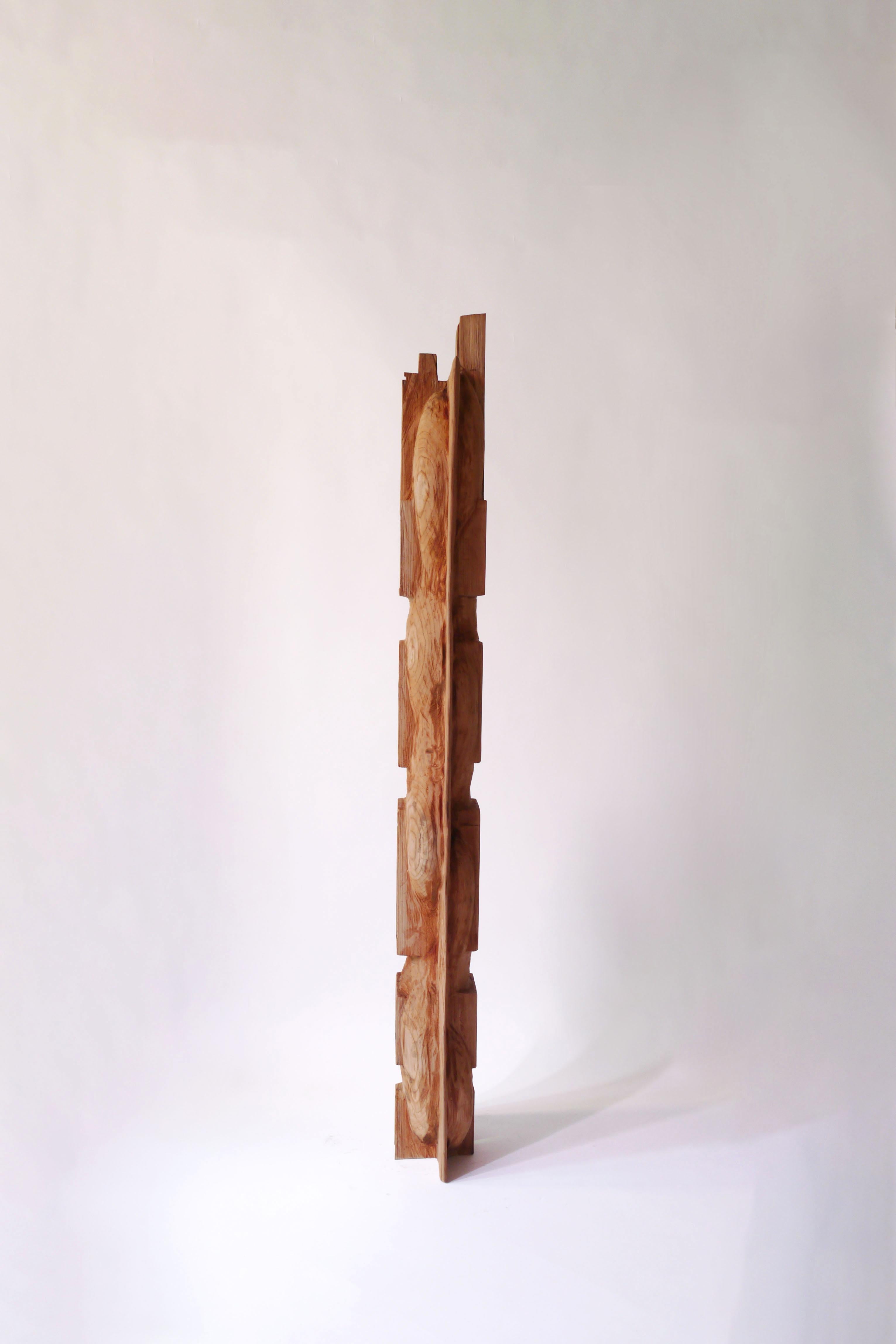 Hand-Carved Hiroyuki Nishimura Abstract Sculpture Broad Bean Tribal Style Bookcase For Sale