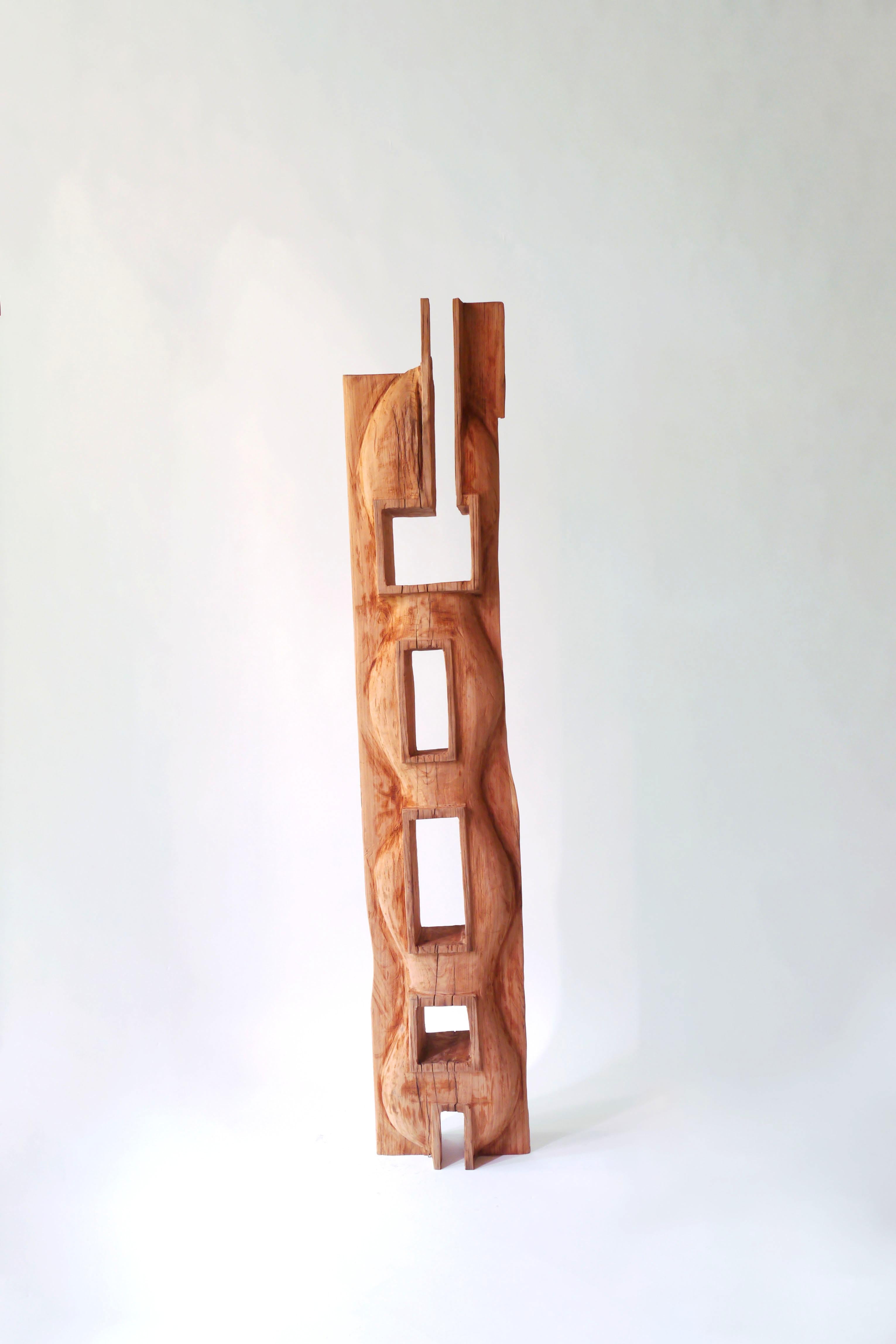 Contemporary Hiroyuki Nishimura Abstract Sculpture Broad Bean Tribal Style Bookcase For Sale