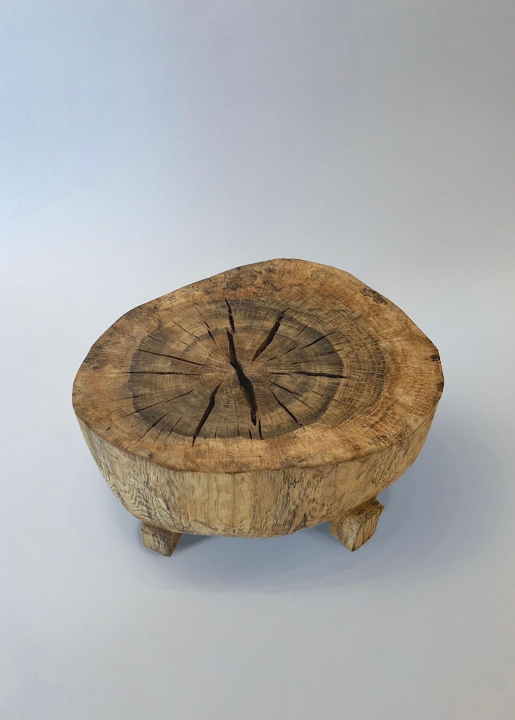 Wood Hiroyuki Nishimura Zougei Sculptural Side Table 35 Tribal Glamping For Sale