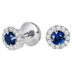 Hirsh Regal Sapphire and Diamond Earrings