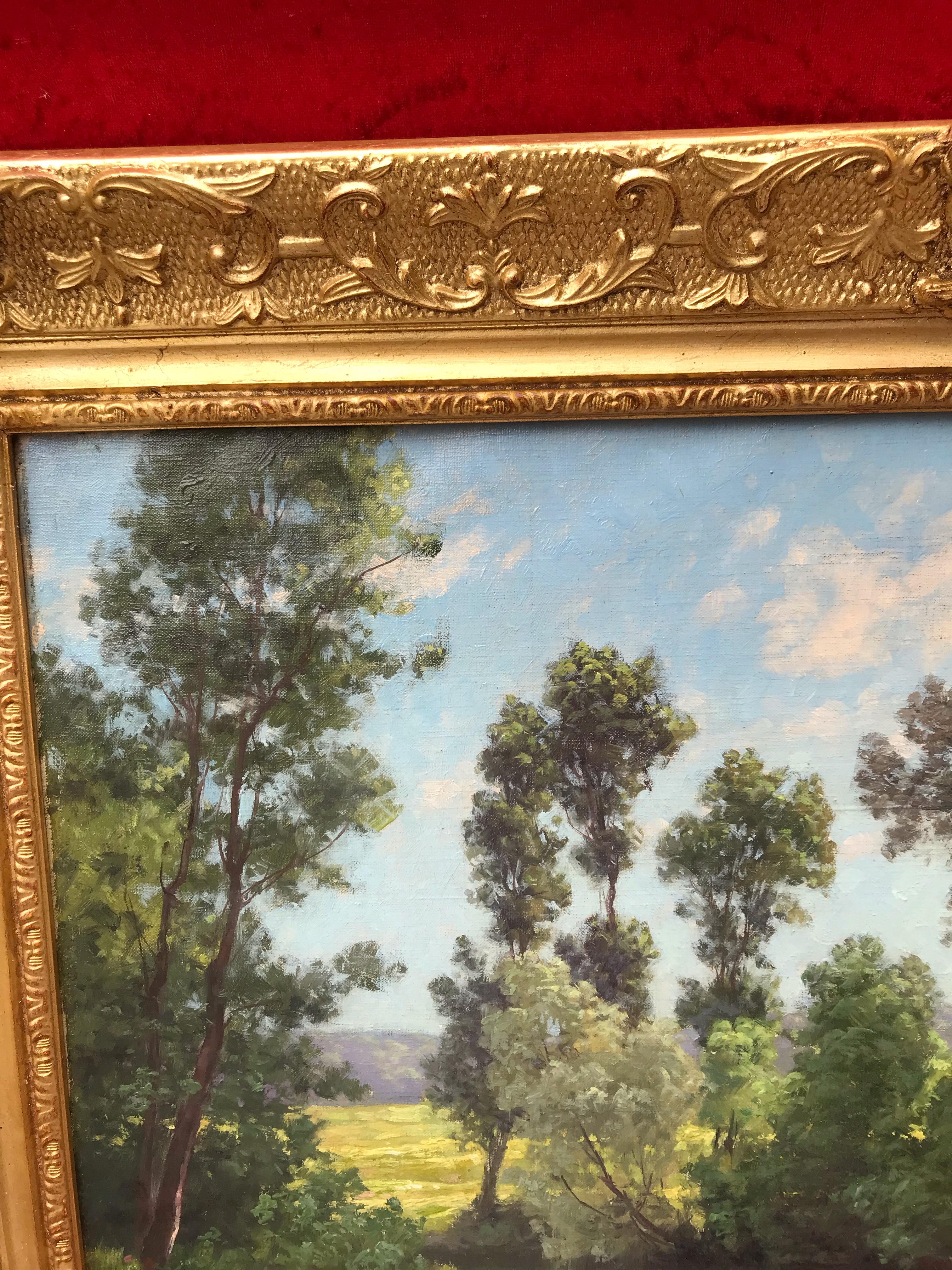 Paisaje junto al estanque en venta 1