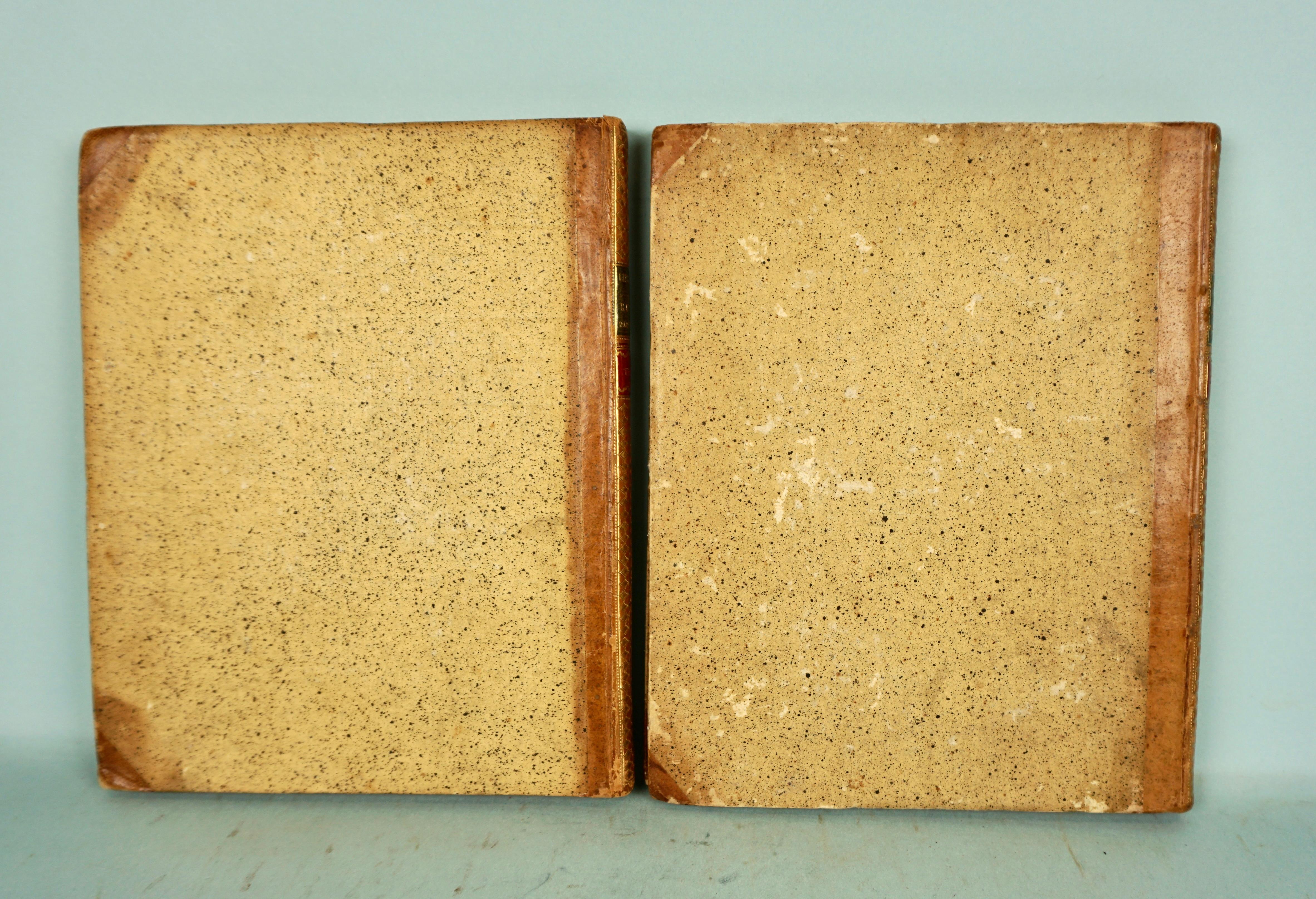 Pelle Histoire De Russie Pubblicato nel 1797 con 36 tavole incise da E.A. A. David in vendita