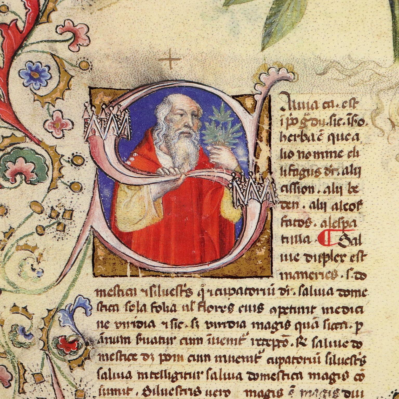 Historia Plantarum Biblioteca Casanatense Ms 459 en venta 3
