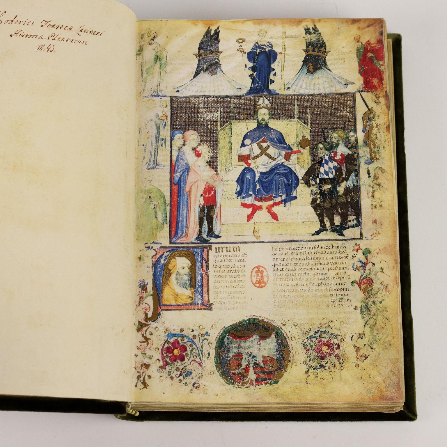 Historia Plantarum Biblioteca Casanatense Ms 459 Italian en venta