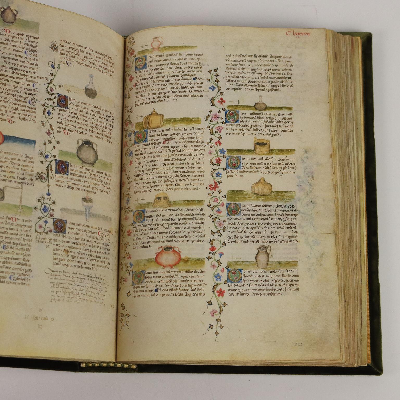 Historia Plantarum Biblioteca Casanatense Ms 459 en venta 2