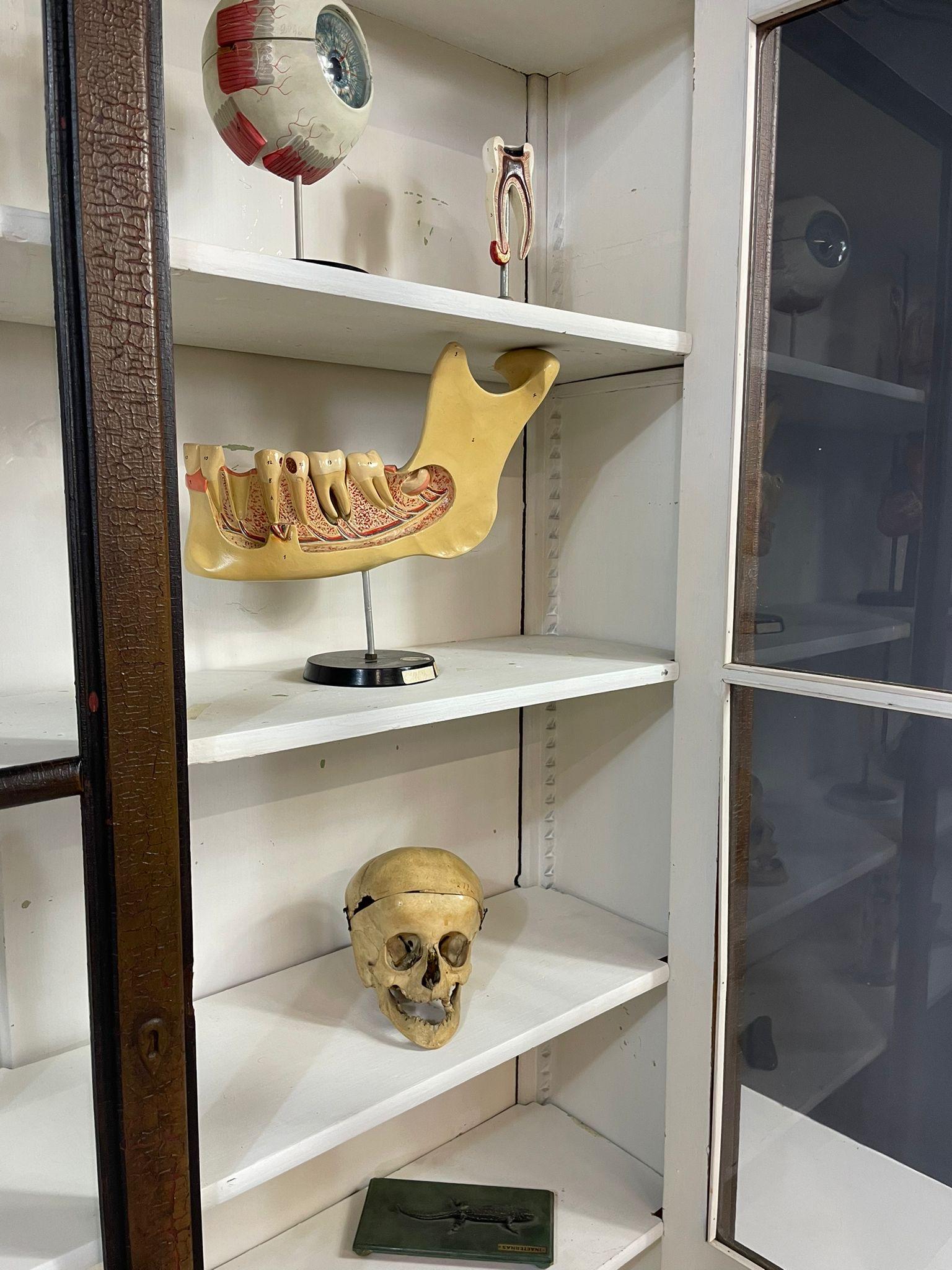 Bibliothèque historique à façade en verre d'Autriche-Hongrie, fin 19e-début 20e C. en vente 9