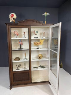 Historic Glass-Front Bookcase from Austria-Hungary, Late 19th–Early 20th C.