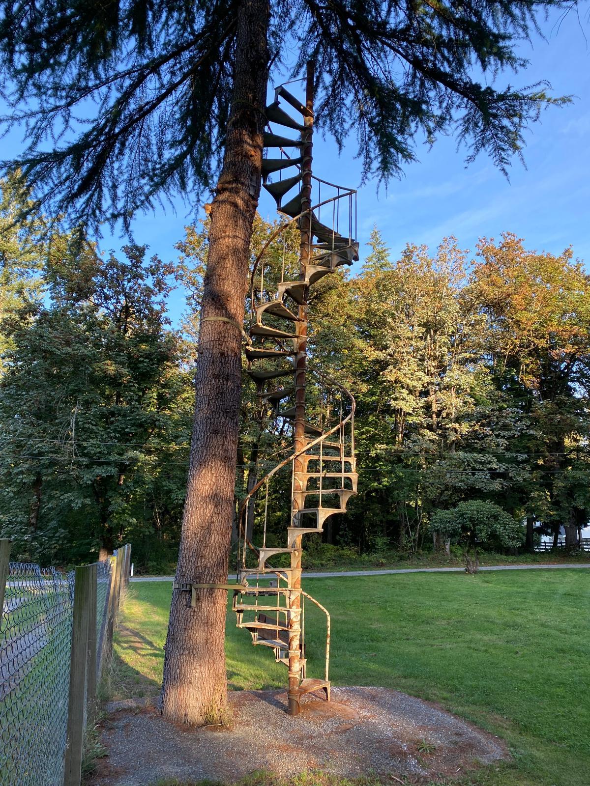 Historic Industrial Iron Spiral Staircase from Boeing's Iconic Plant 2 For Sale 5