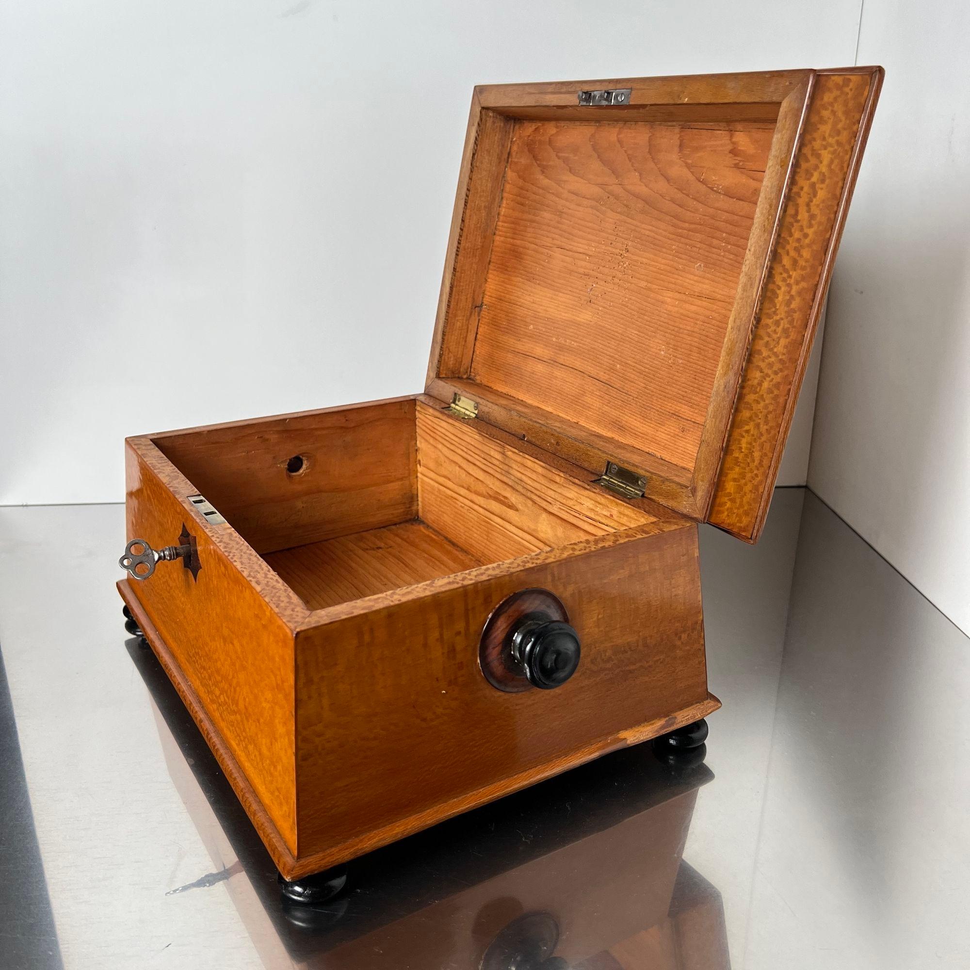Caja historicista, chapado de fresno floral, palisandro, Austria circa 1880 en venta 9