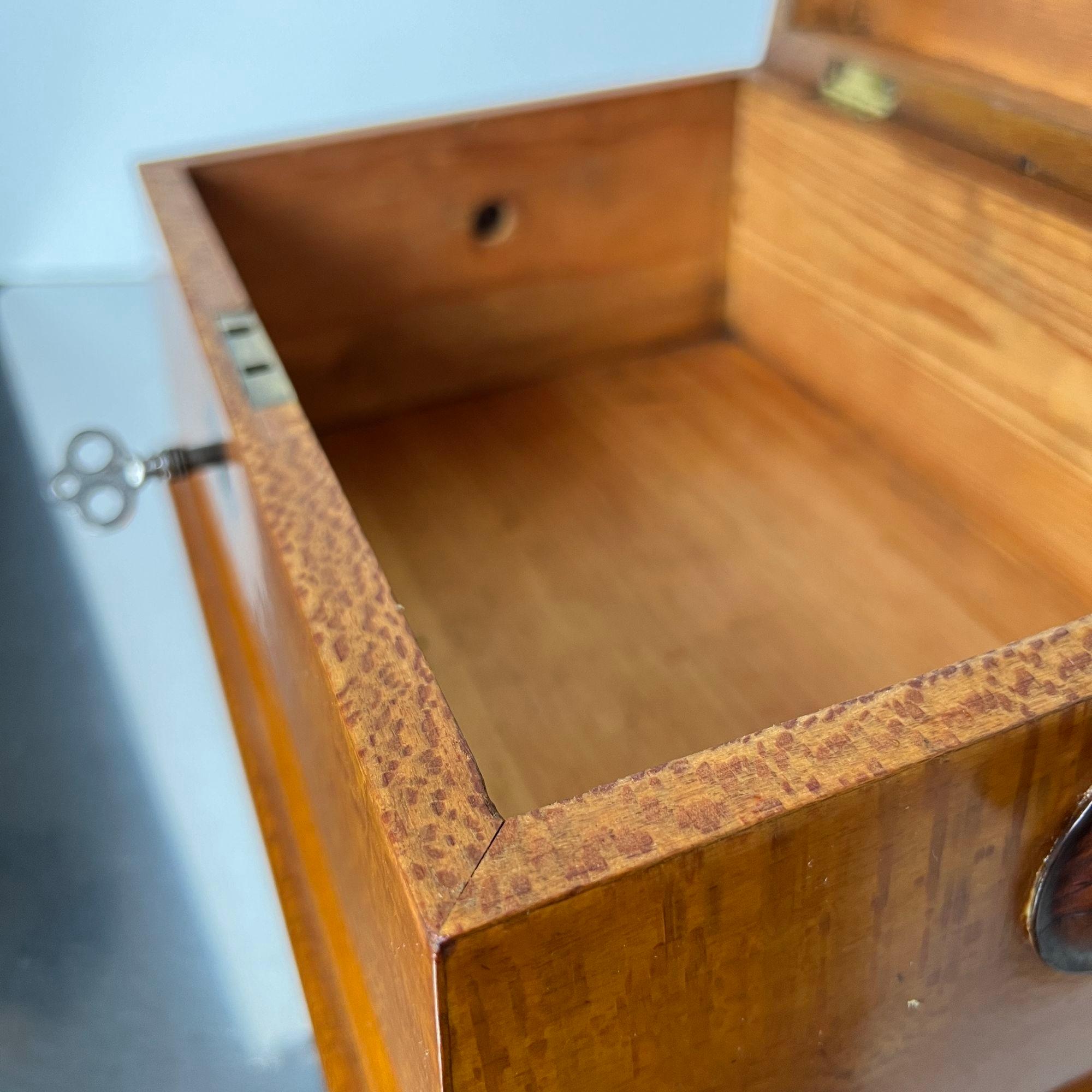 Caja historicista, chapado de fresno floral, palisandro, Austria circa 1880 en venta 10