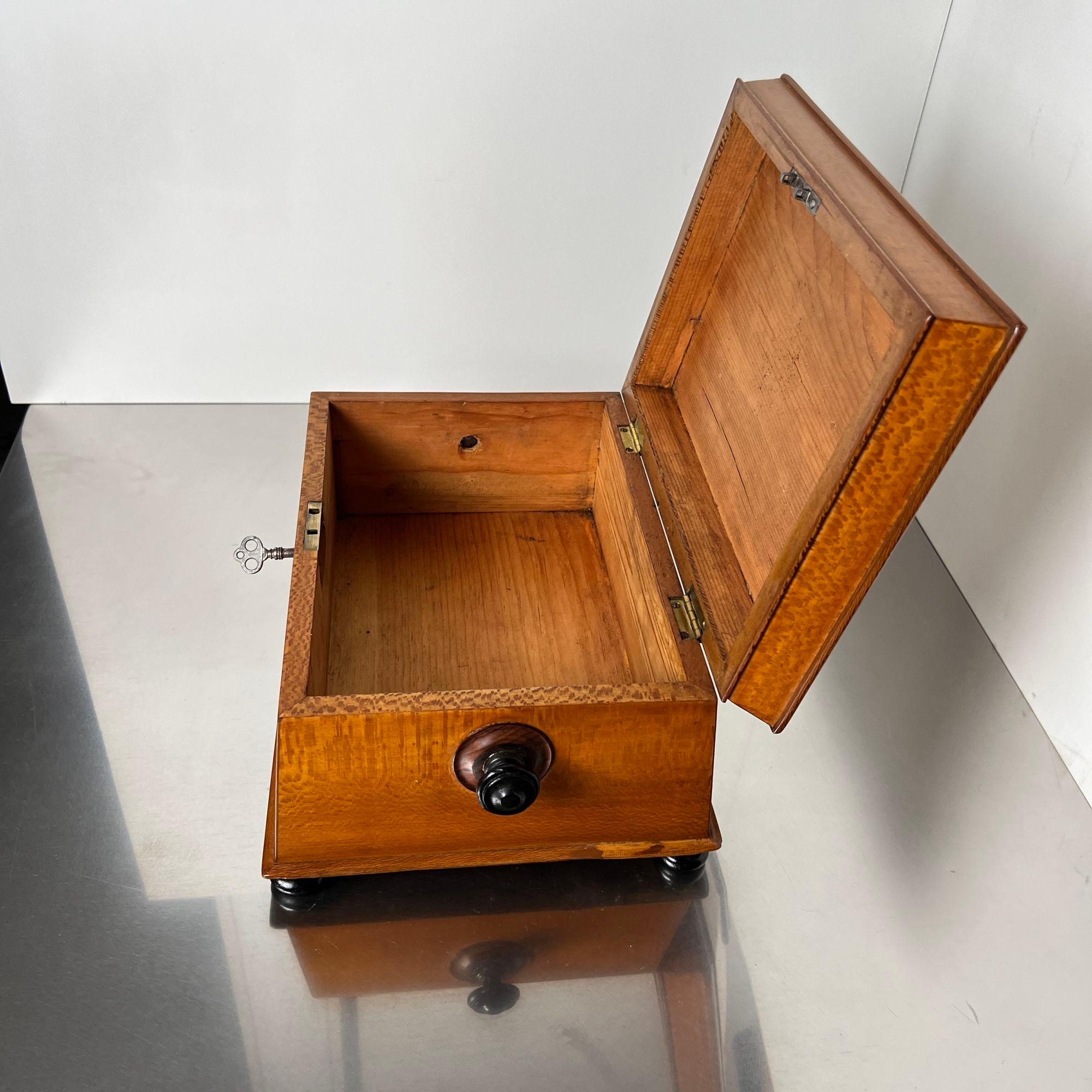 Caja historicista, chapado de fresno floral, palisandro, Austria circa 1880 en venta 12