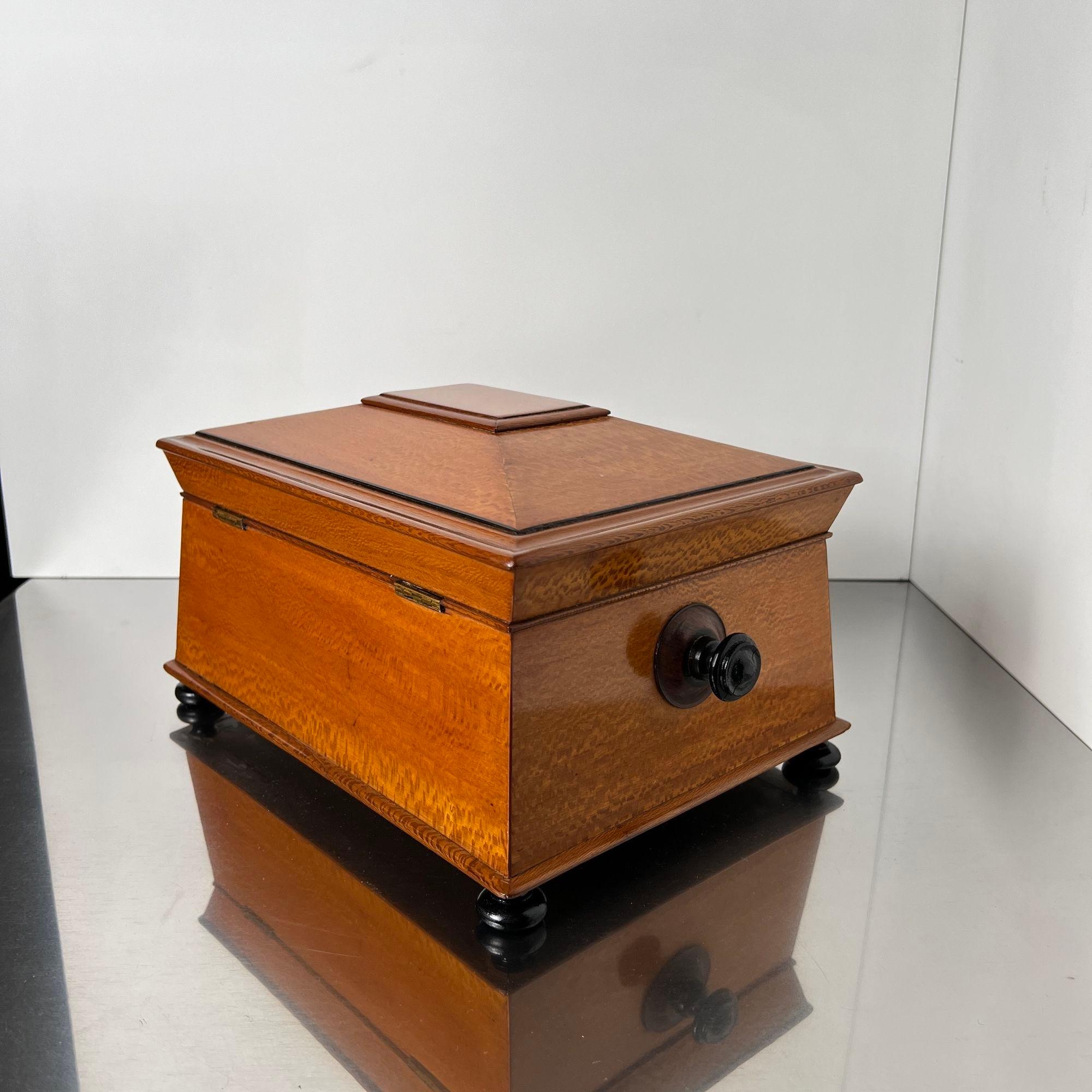 Caja historicista, chapado de fresno floral, palisandro, Austria circa 1880 en venta 1