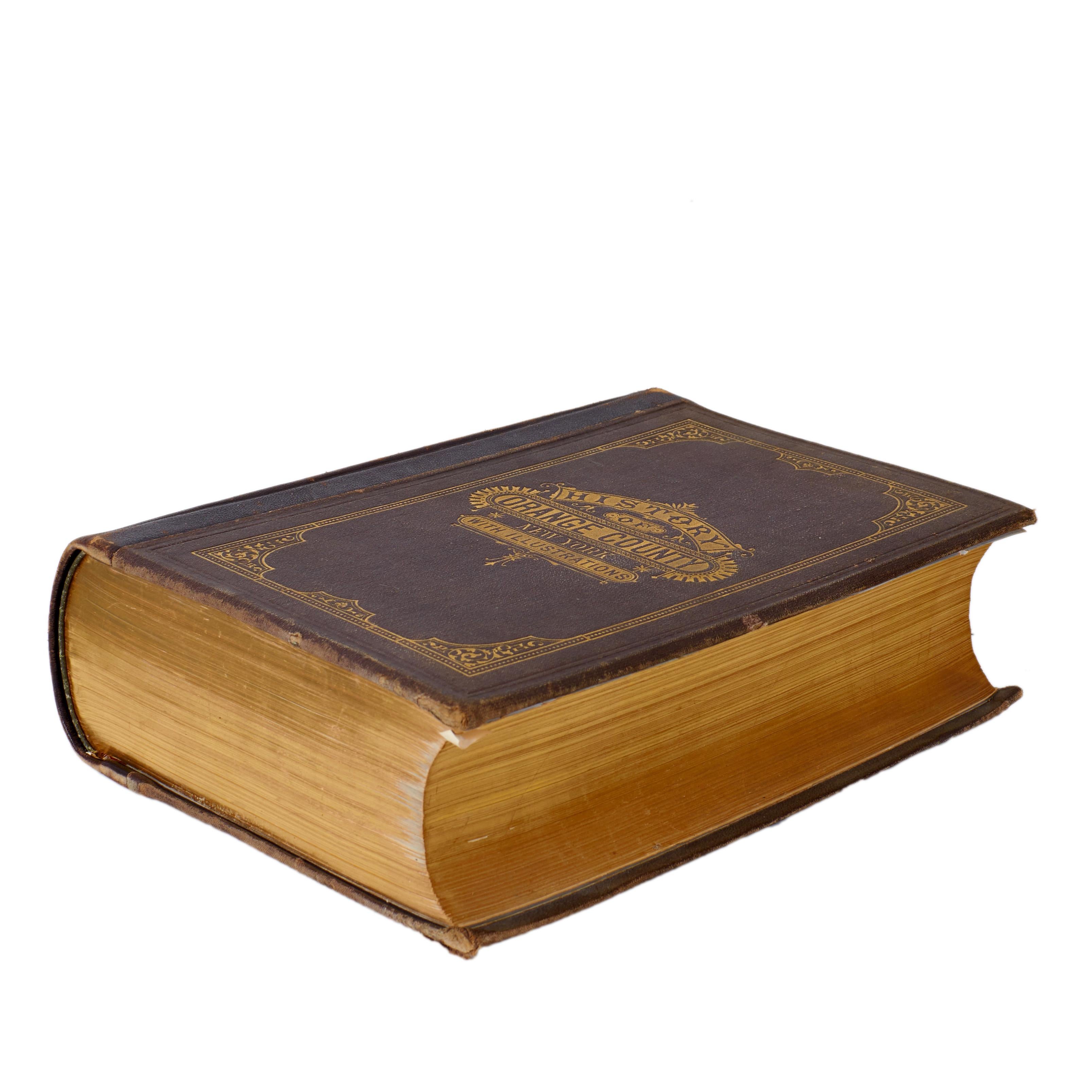 Geschichte von Orange County, New York, Everts & Peck 1881 (Papier) im Angebot