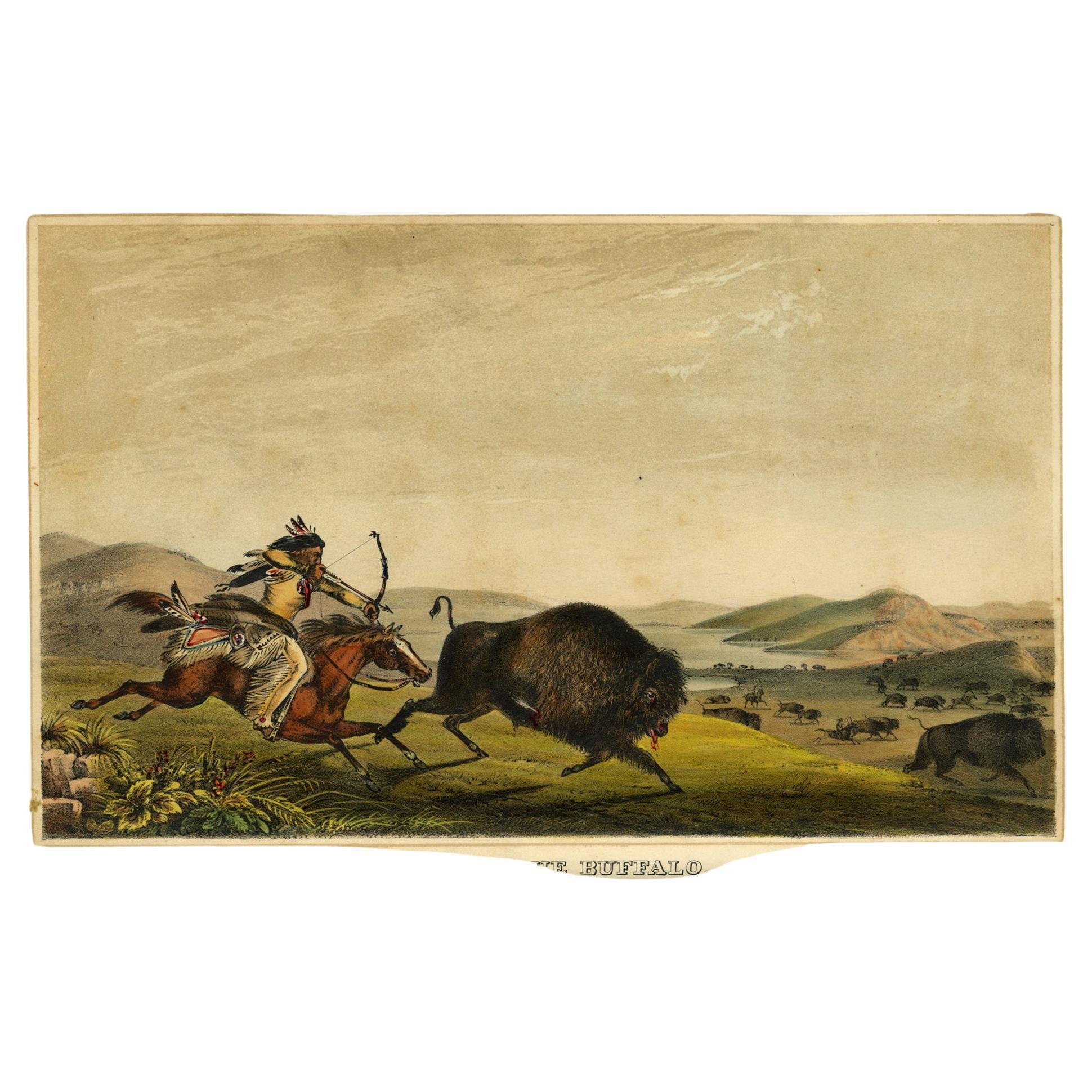 Die Geschichte der Indianerstämme Nordamerikas - Th. McKenney & J. Hall im Angebot