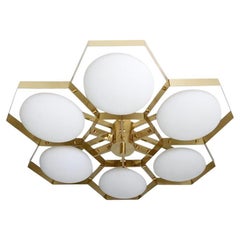 Alveare a incasso di Fabio Ltd