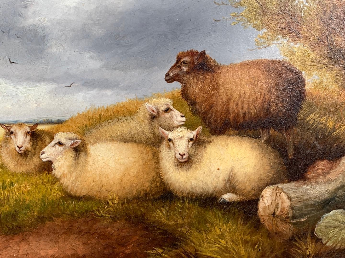 19th century English portrait of sheep in a landscape - Victorian Painting by H.Jackson