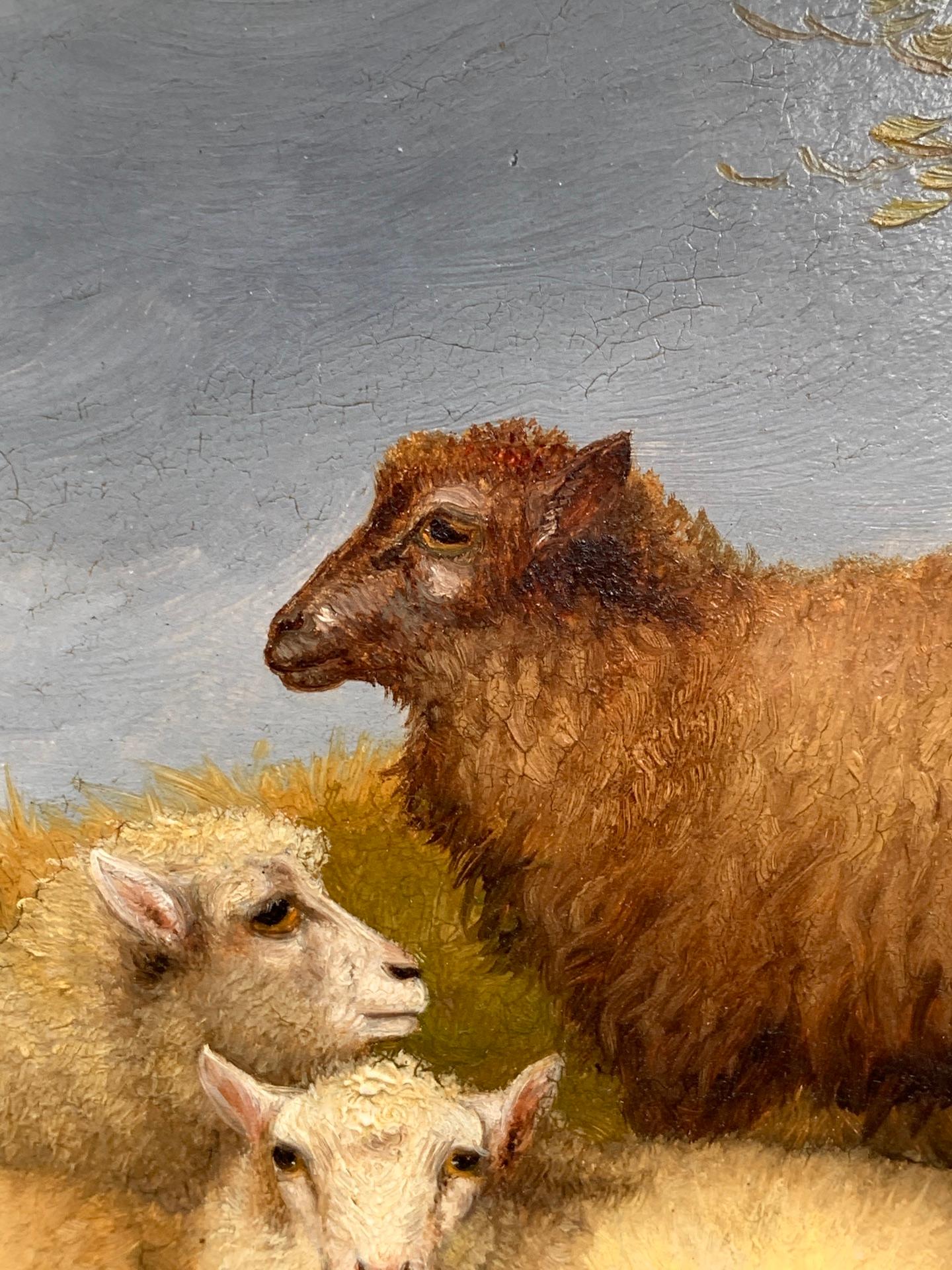 H.Jackson. 19th century English landscape with sheep 

English late 19th-century painter of animals either in barns or landscapes. His paintings have the influence of the work of the Belgium painter Cornelius van  Leemputten, in both their subjects