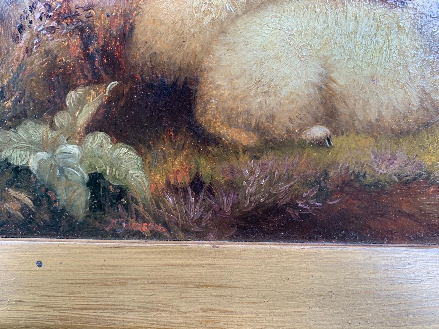 19th century English portrait of sheep in an extensive landscape - Victorian Painting by H.Jackson