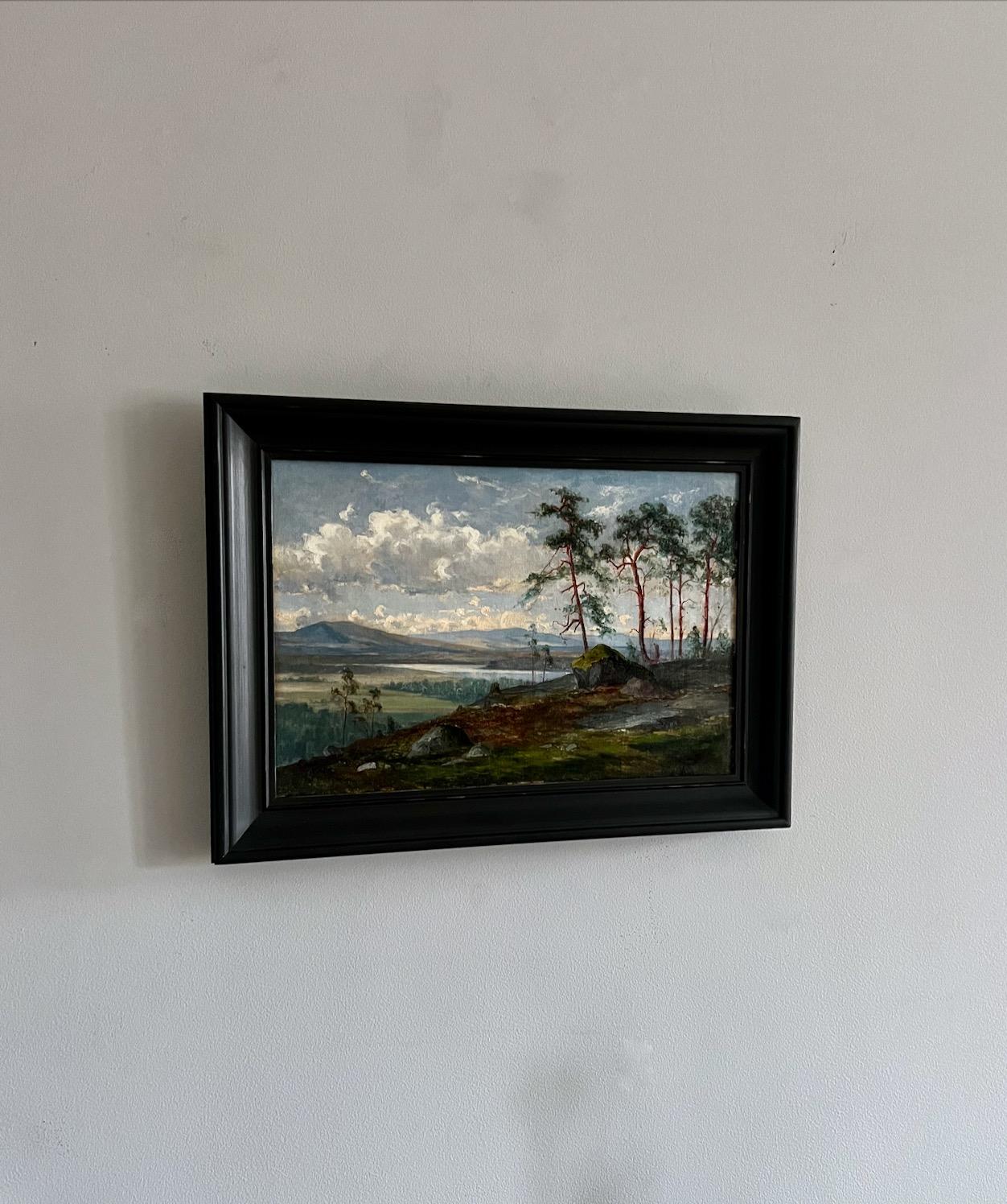 Skäckerfjällen Seen From Kolåsen, Mountain View, 19th century, Oil on canvas For Sale 2