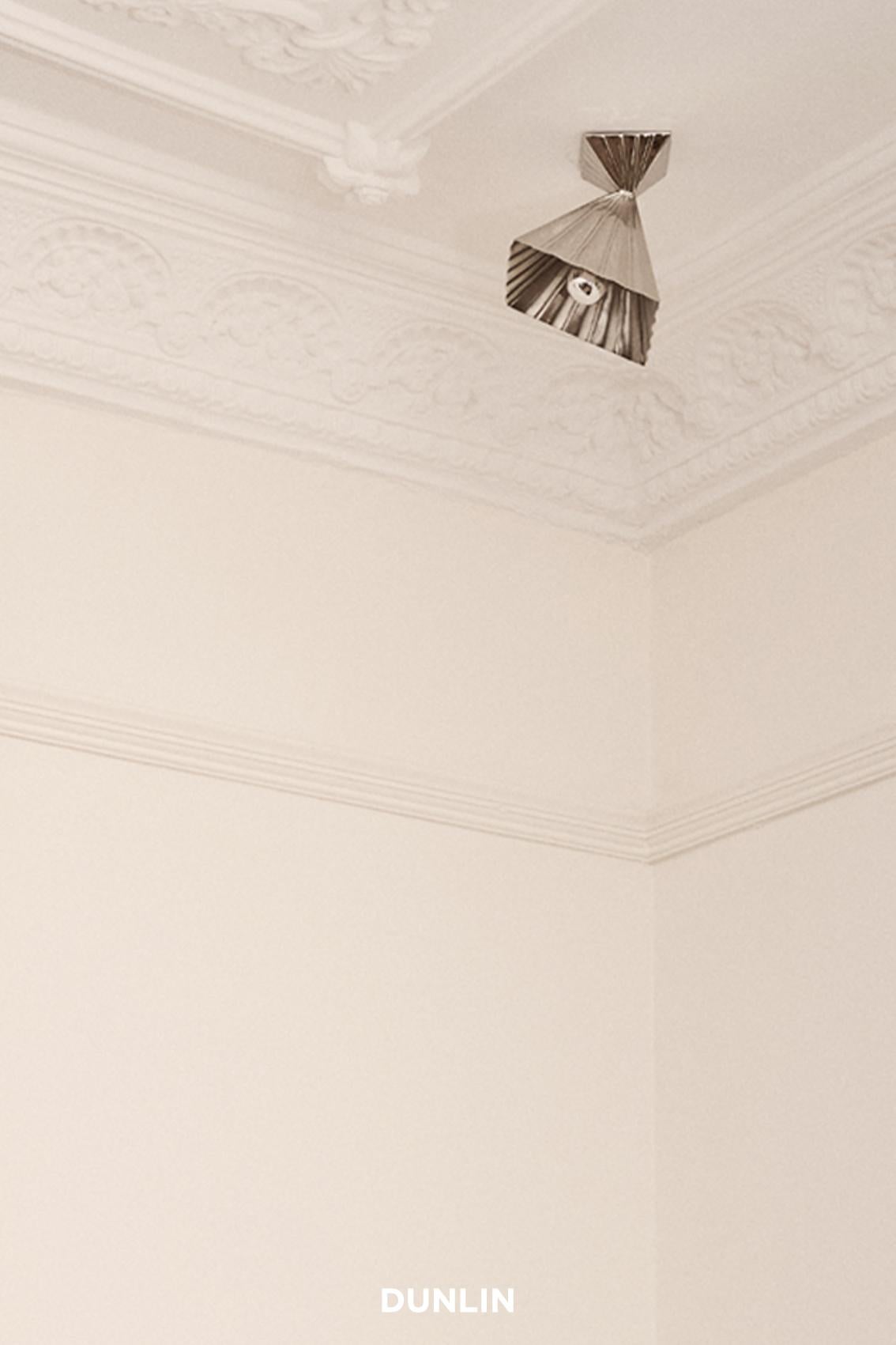 HK05 Nickel Plated Brass Spot Ceiling Light, HK X DUNLIN For Sale 2