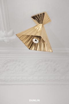 HK05 Polished Brass Spot Ceiling Light, HK X DUNLIN