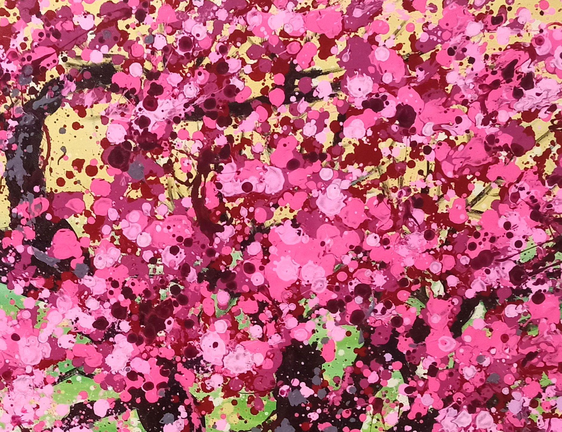 I fiori di ciliegio sono molto amati dal popolo giapponese, tanto che esistono come simbolo e fiore nazionale del Giappone. Per i giapponesi, il Sakura zensen simboleggia la bellezza, la fragilità e l'innocenza. È un fiore che 