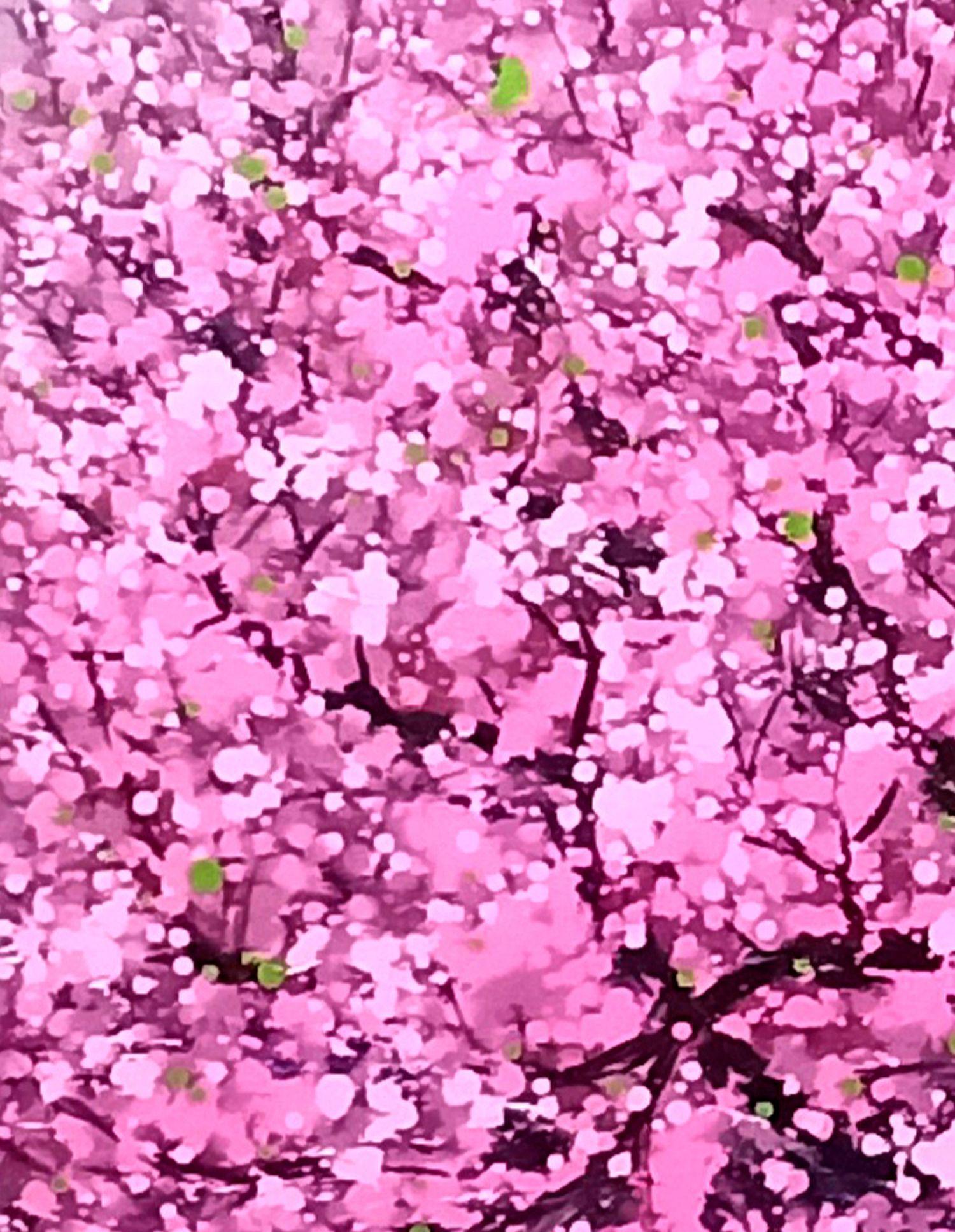 SAKURA - Ciliegio in fiore, Pittura, Acrilico su tela - Painting Impressionismo di Hoang Phuong