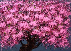SAKURA - Cherry blossoms bloom, Painting, Acrylic on Canvas