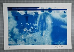 "Glimpses of Their Garden #1", Abstrakt, Botanisch, Blau, Druck, Fotografie