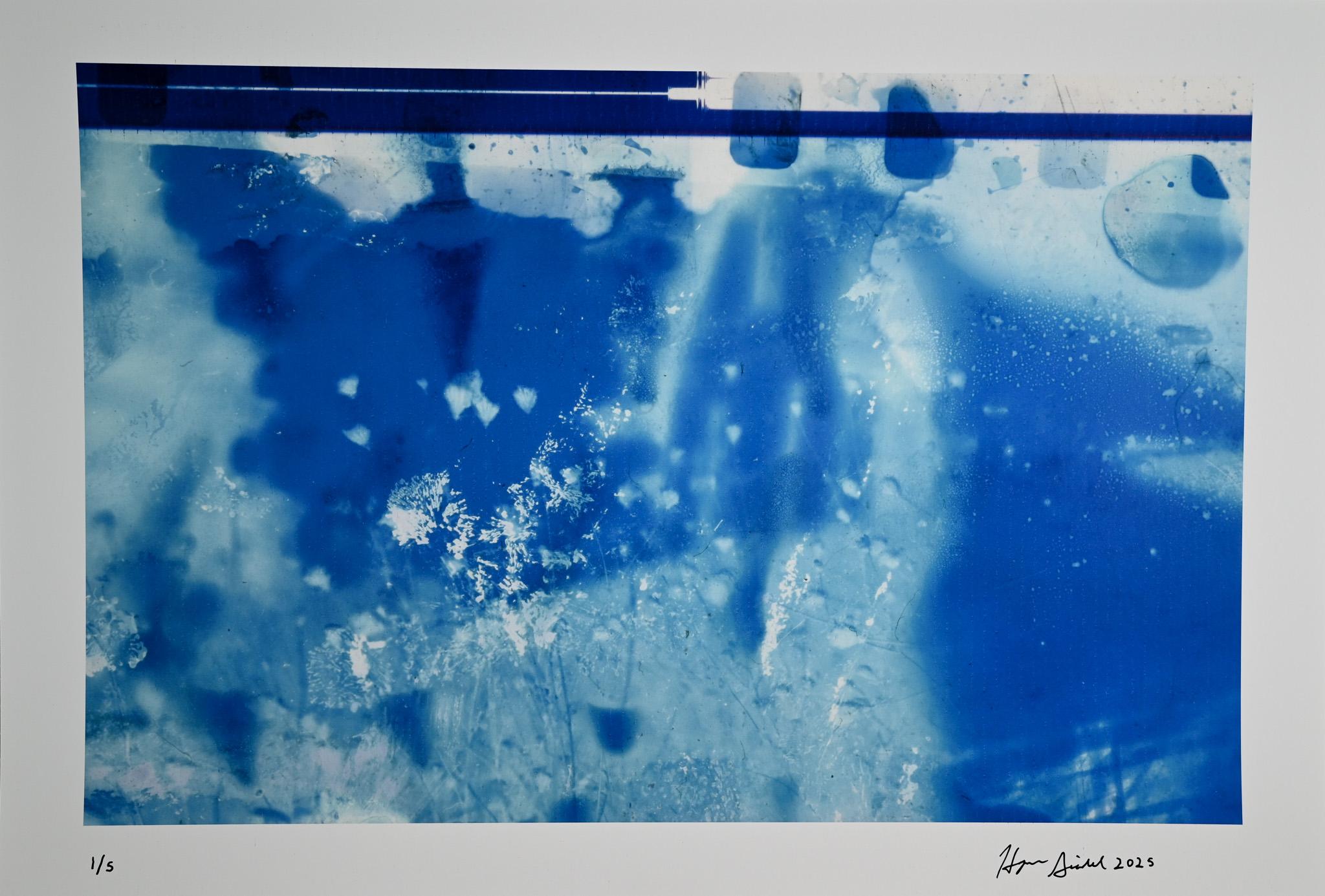 Hogan Alexander Seidel Abstract Print – "Glimpses of Their Garden #1", abstrakt, botanisch, blau, Fotografie