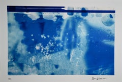 "Vislumbres de su jardín nº 1", abstracto, botánico, azul, fotografía
