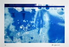 "Glimpses of Their Garden #1", abstract, botanical, blue, photograph
