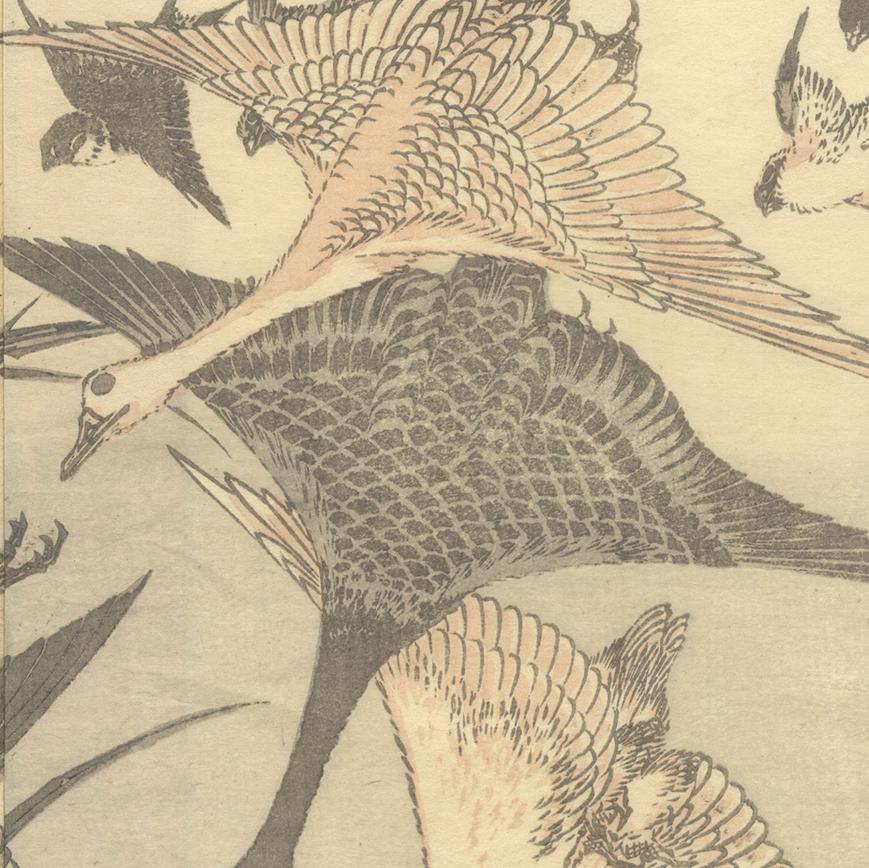 japanese woodblock bird prints
