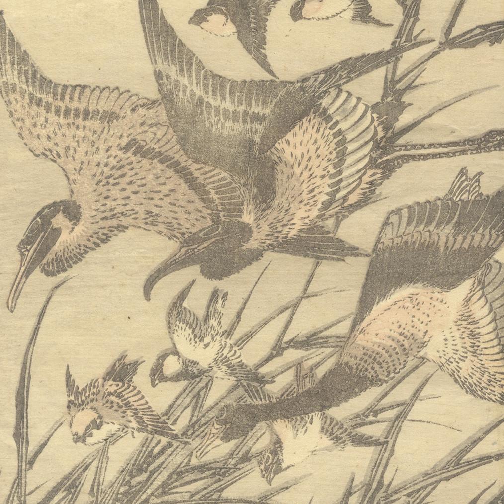 japanese woodblock prints birds