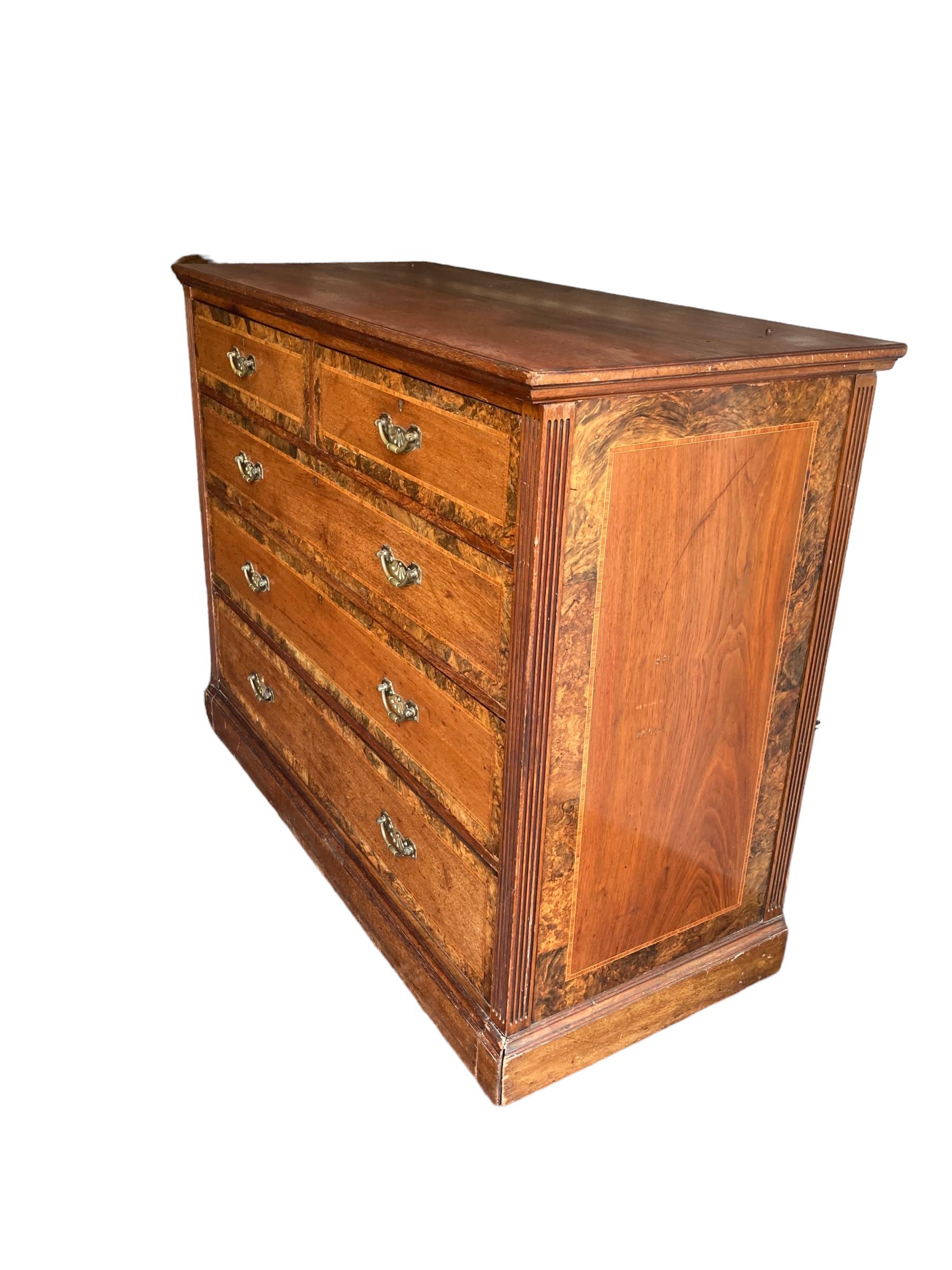 A beautiful and imposing original Holland and Sons chest of Drawers. Graduated drawers with rollers on bottom drawer. Burr Walnut with brass handles and an Empire style top. Circa 1800's.

H: 146cm

W: 134cm

D: 60cm

Graduated Drawers depth:

Twin:
